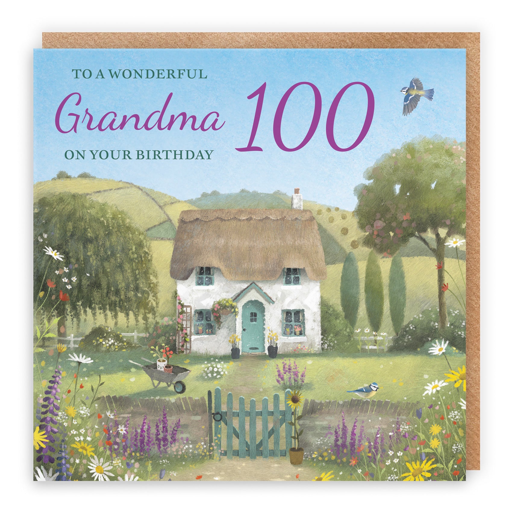 100th Grandma Birthday Card Thatched Cottage Milo's Gallery - Default Title (RT06682)
