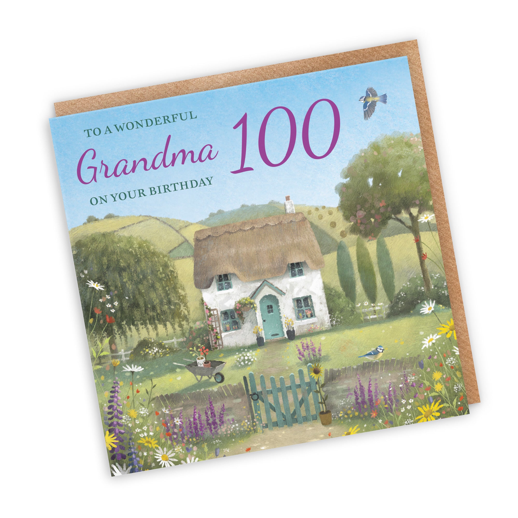 100th Grandma Birthday Card Thatched Cottage Milo's Gallery - Default Title (RT06682)