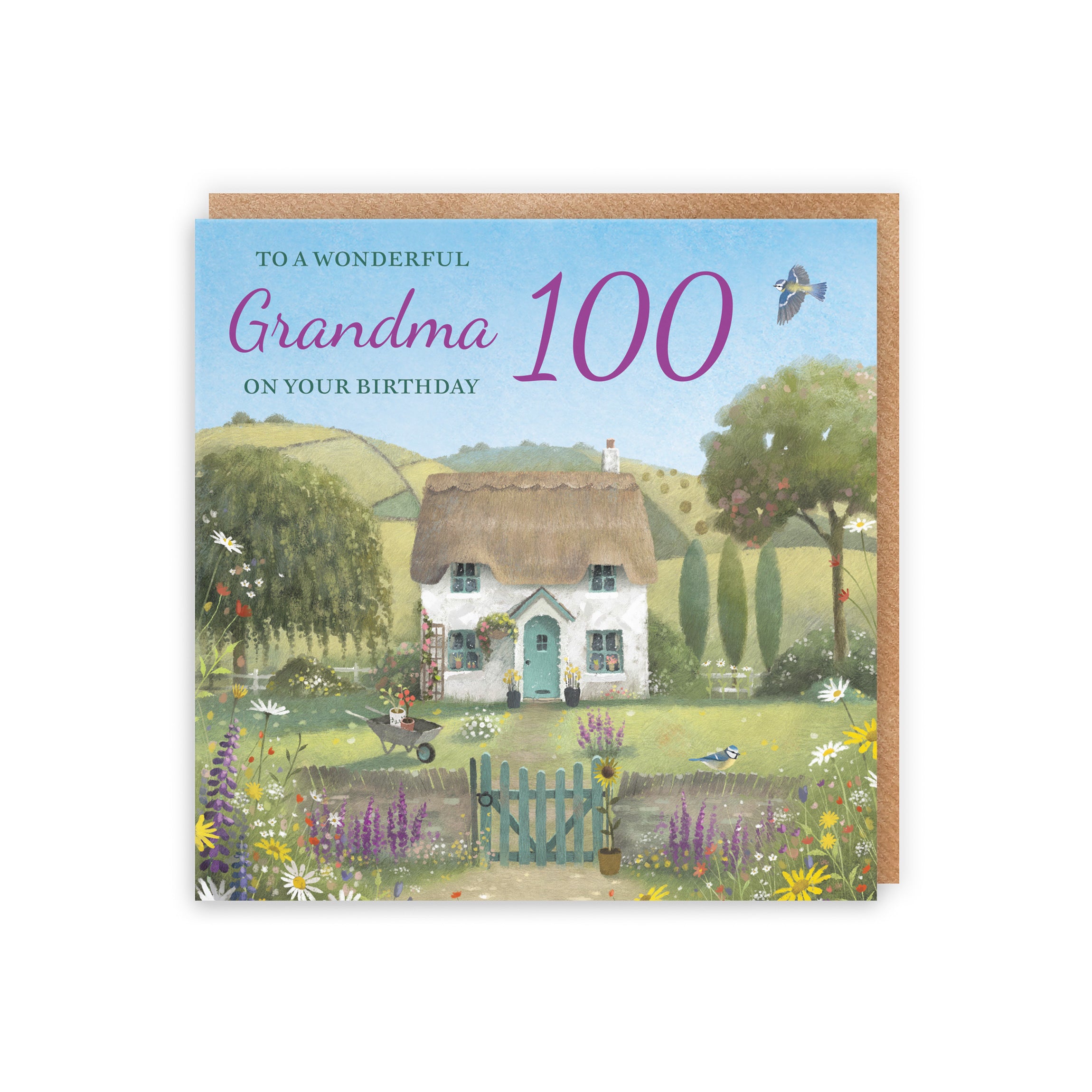 100th Grandma Birthday Card Thatched Cottage Milo's Gallery - Default Title (RT06682)