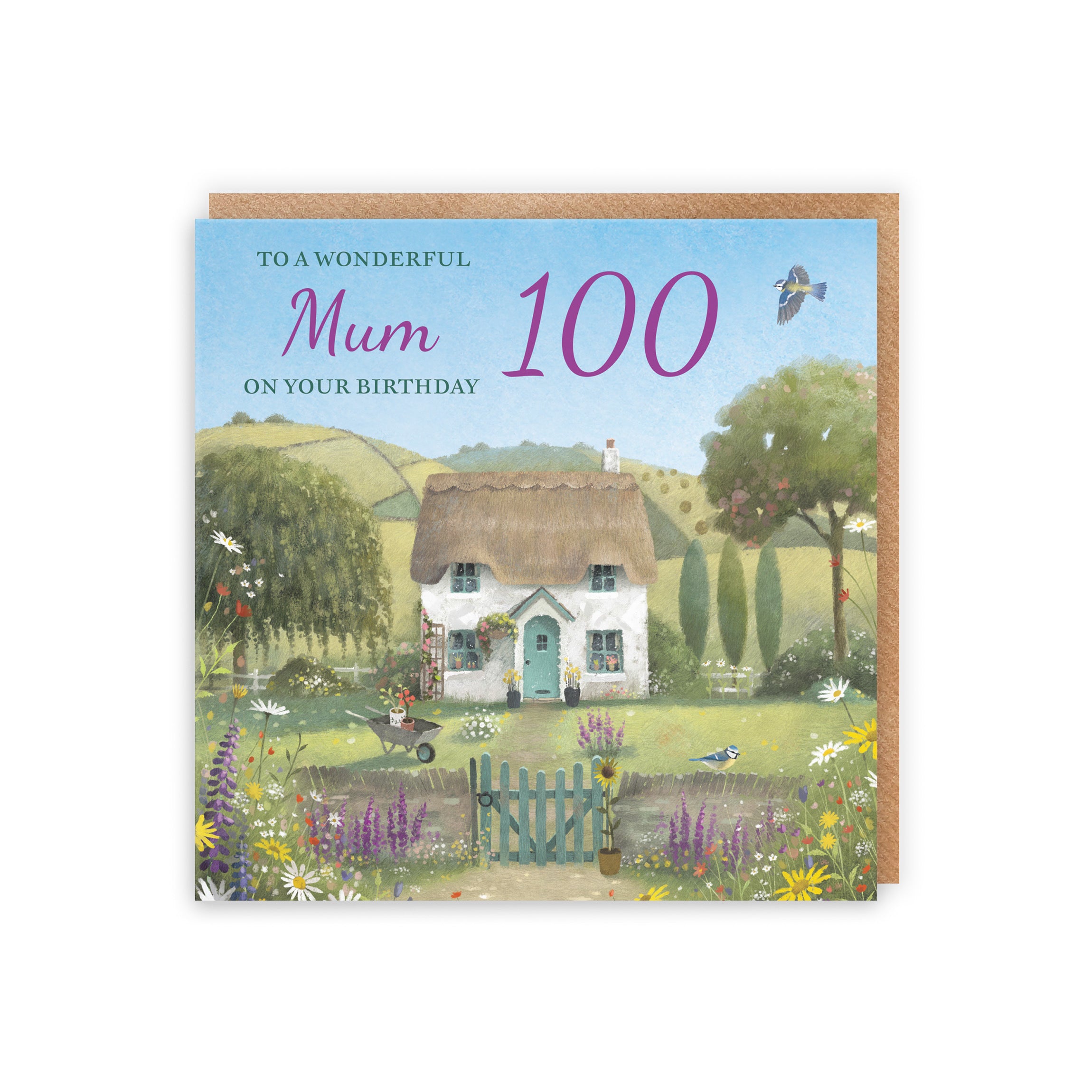 100th Mum Birthday Card Thatched Cottage Milo's Gallery - Default Title (RT06722)