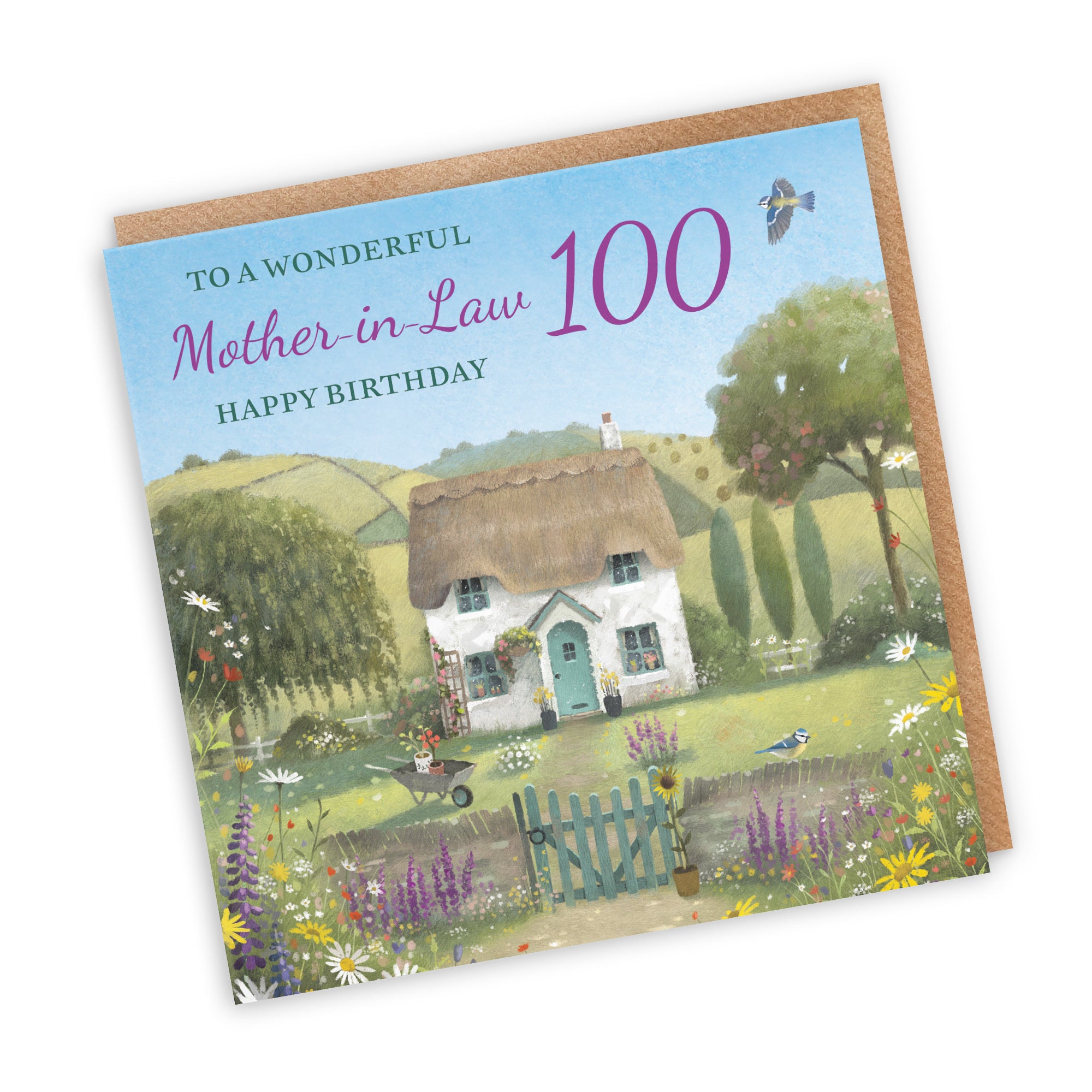 100th Mother-in-Law Birthday Card Thatched Cottage Milo's Gallery - Default Title (RT06727)