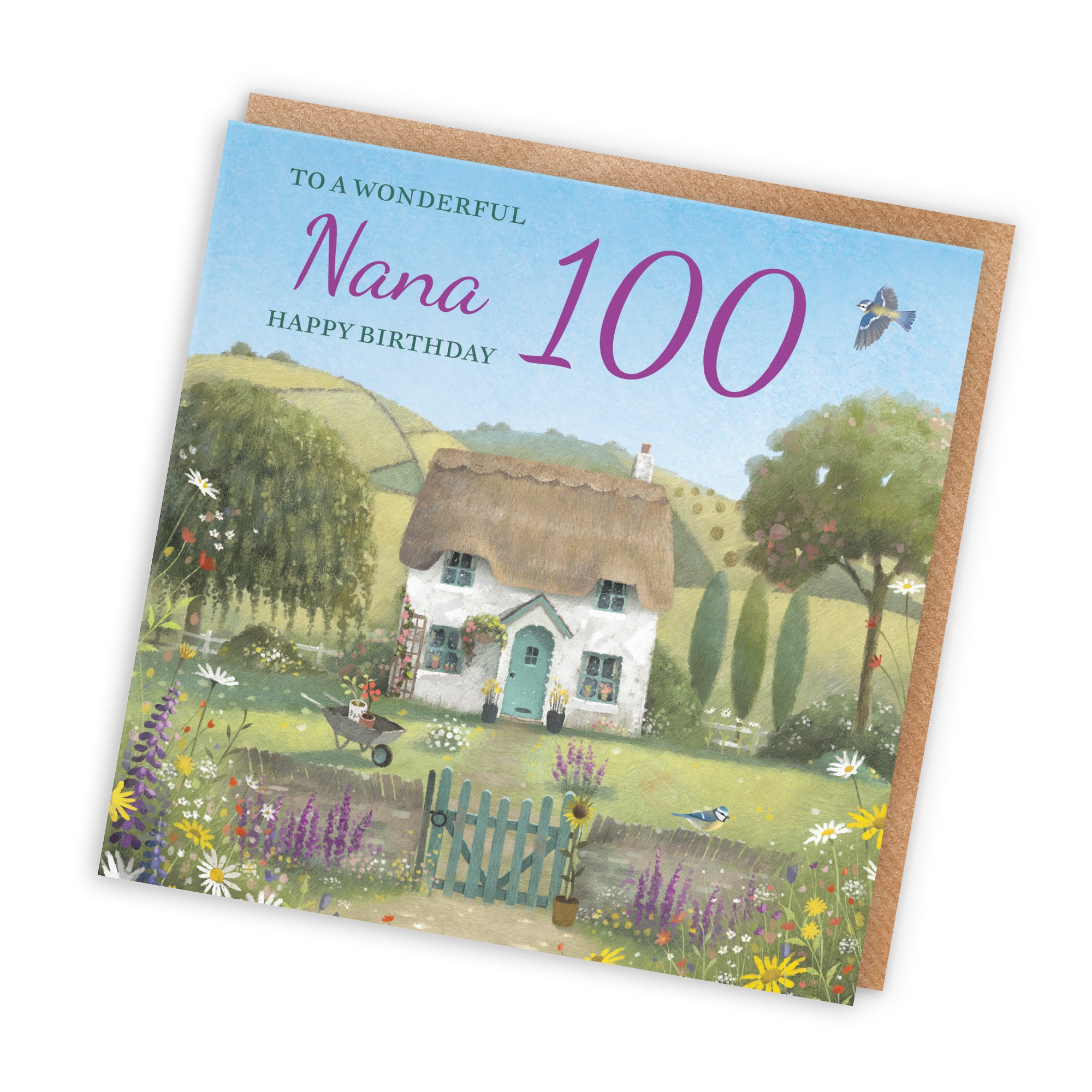 100th Nana Birthday Card Thatched Cottage Milo's Gallery - Default Title (RT06733)