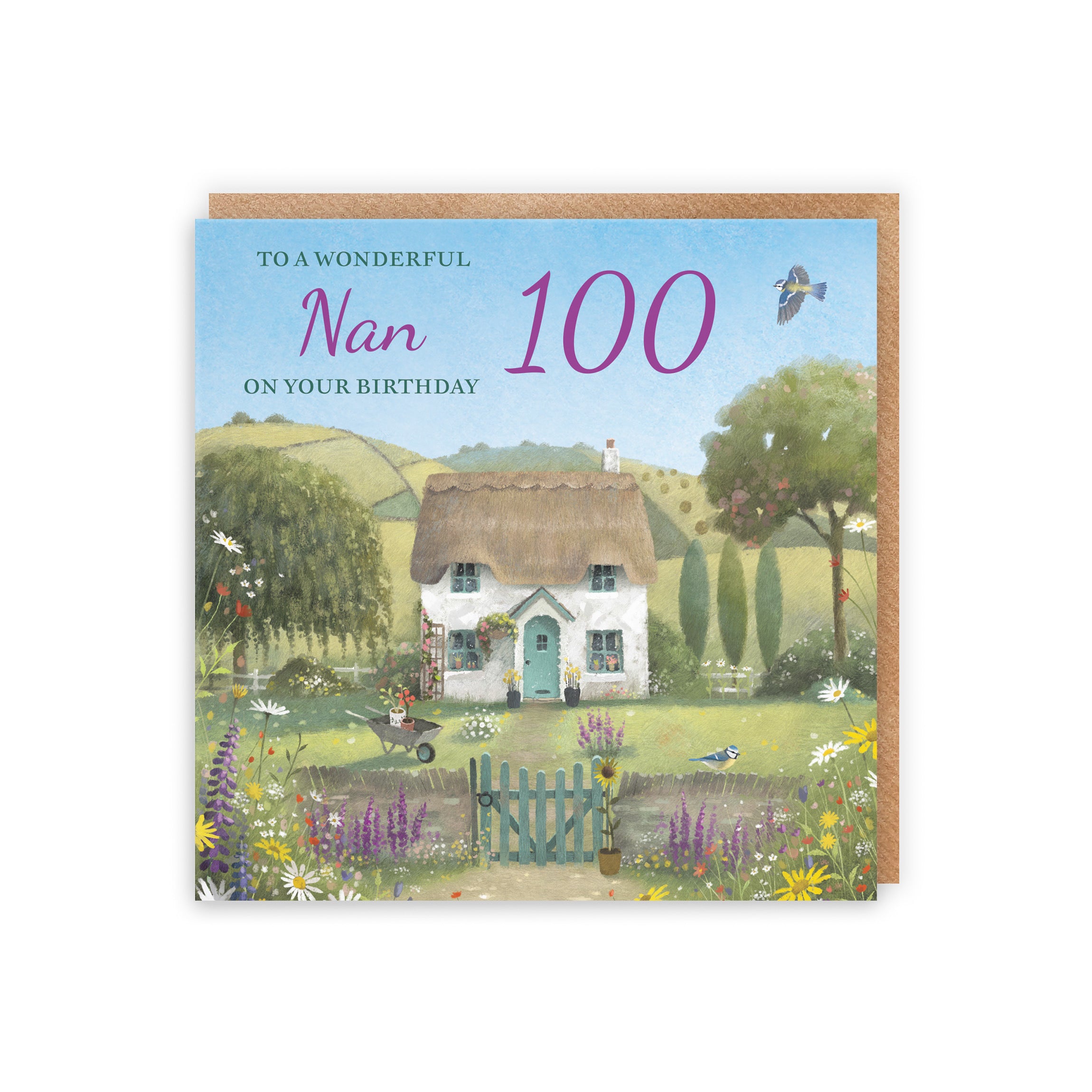 100th Nan Birthday Card Thatched Cottage Milo's Gallery - Default Title (RT06740)
