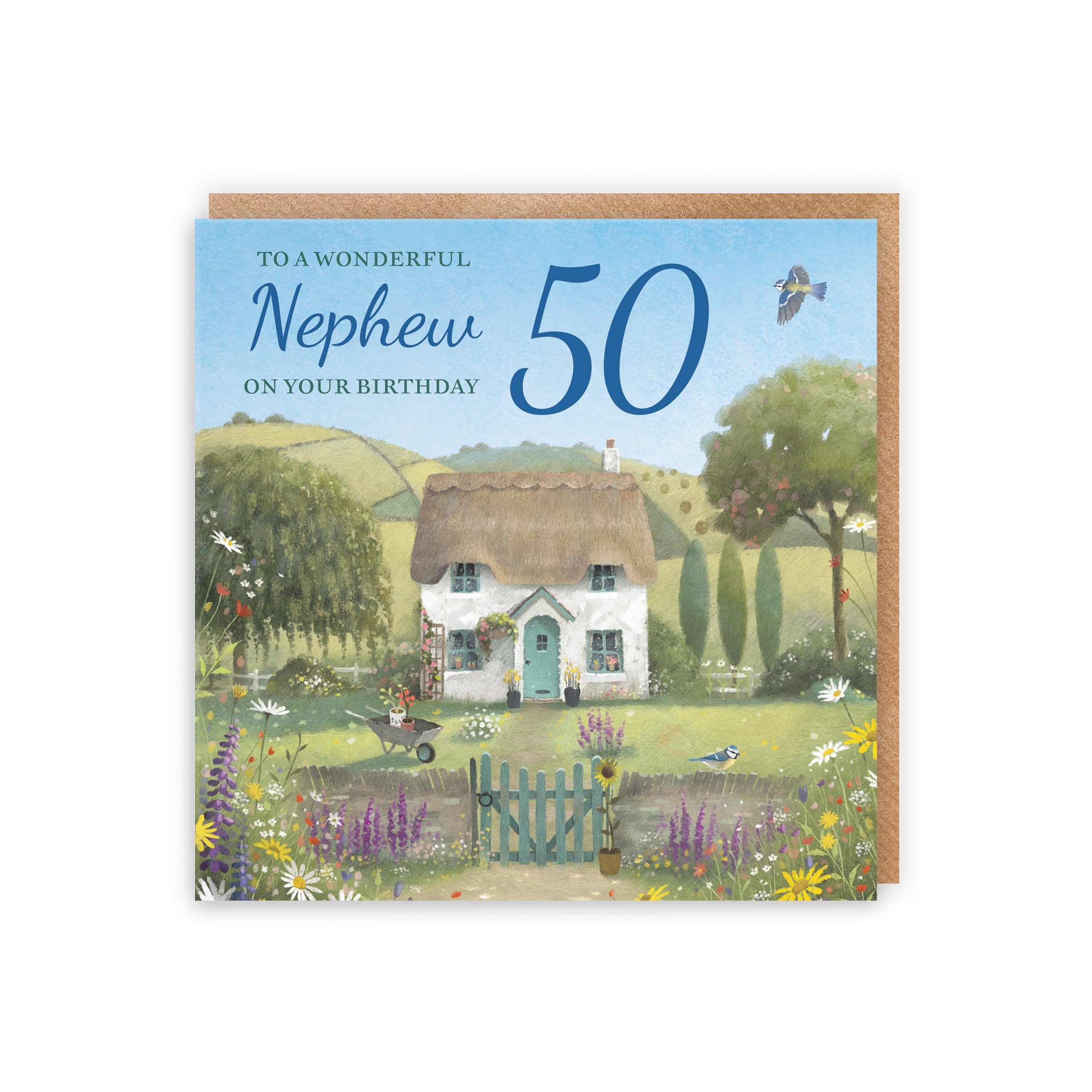 50th Nephew Birthday Card Thatched Cottage Milo's Gallery - Default Title (RT06746)