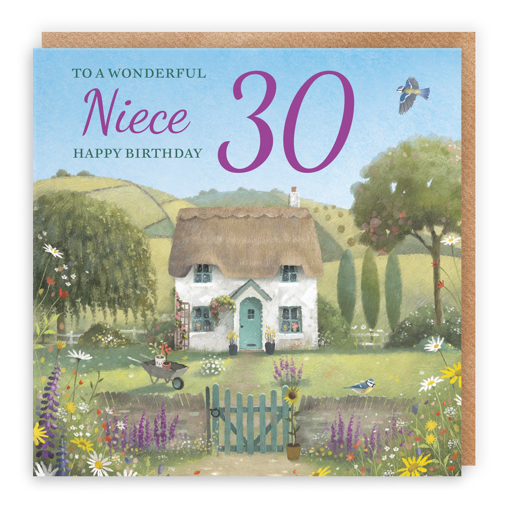 30th Niece Birthday Card Thatched Cottage Milo's Gallery - Default Title (RT06747)