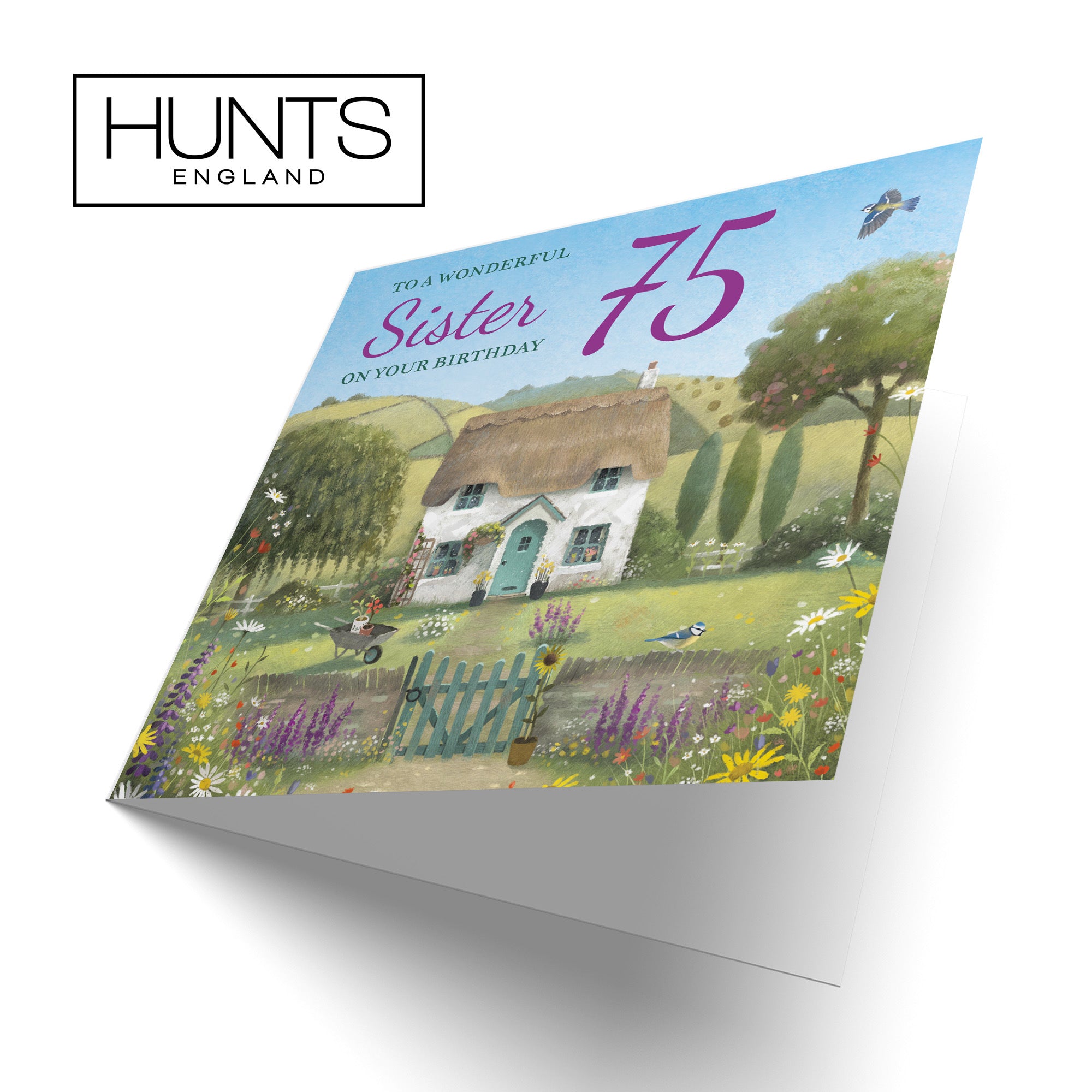 75th Sister Birthday Card Thatched Cottage Milo's Gallery - Default Title (RT06760)