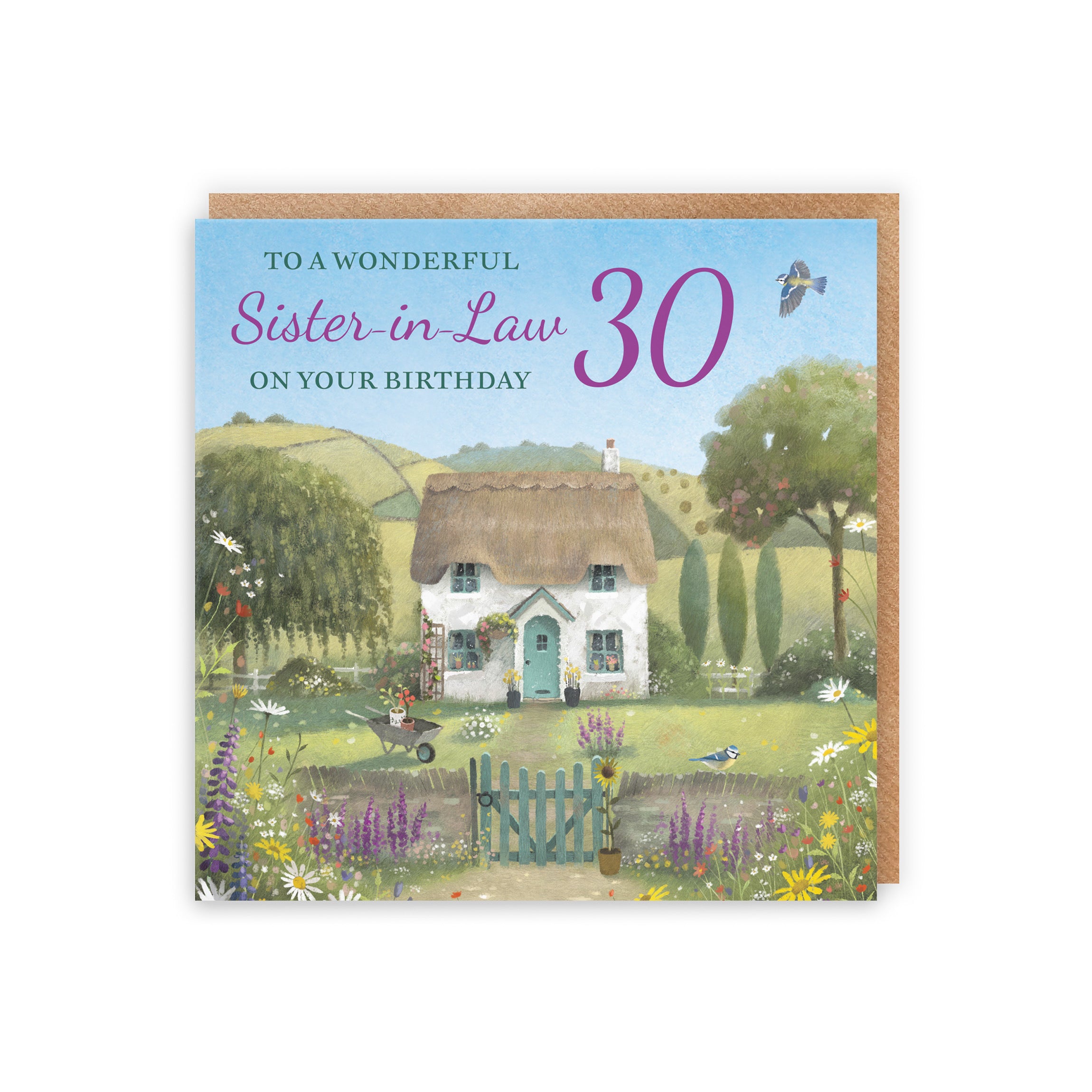 30th Sister-in-Law Birthday Card Thatched Cottage Milo's Gallery - Default Title (RT06764)