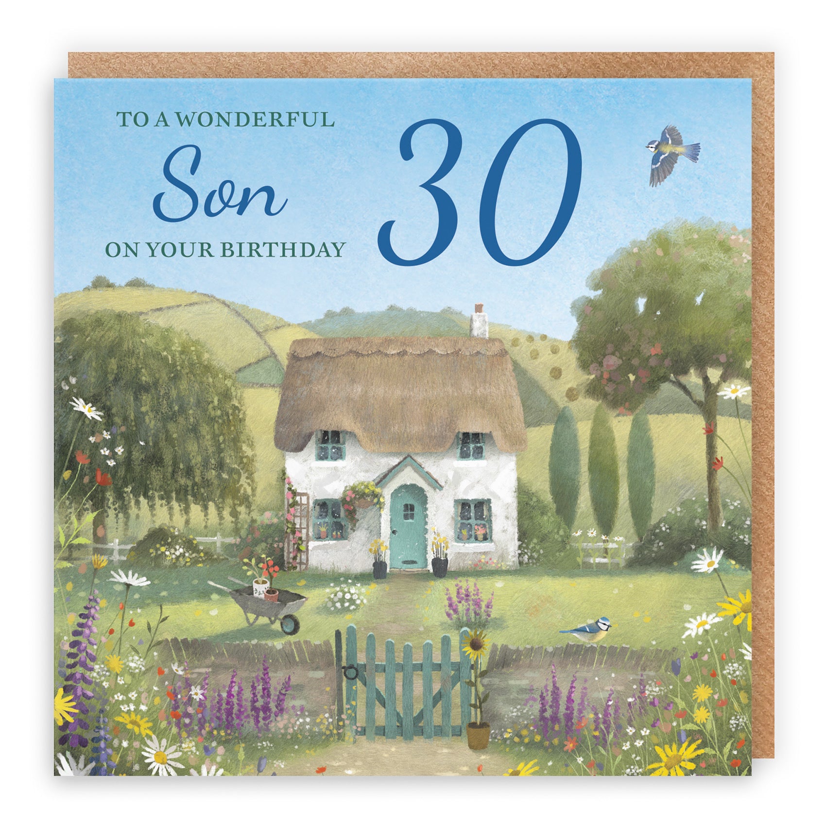30th Son Birthday Card Thatched Cottage Milo's Gallery - Default Title (RT06773)
