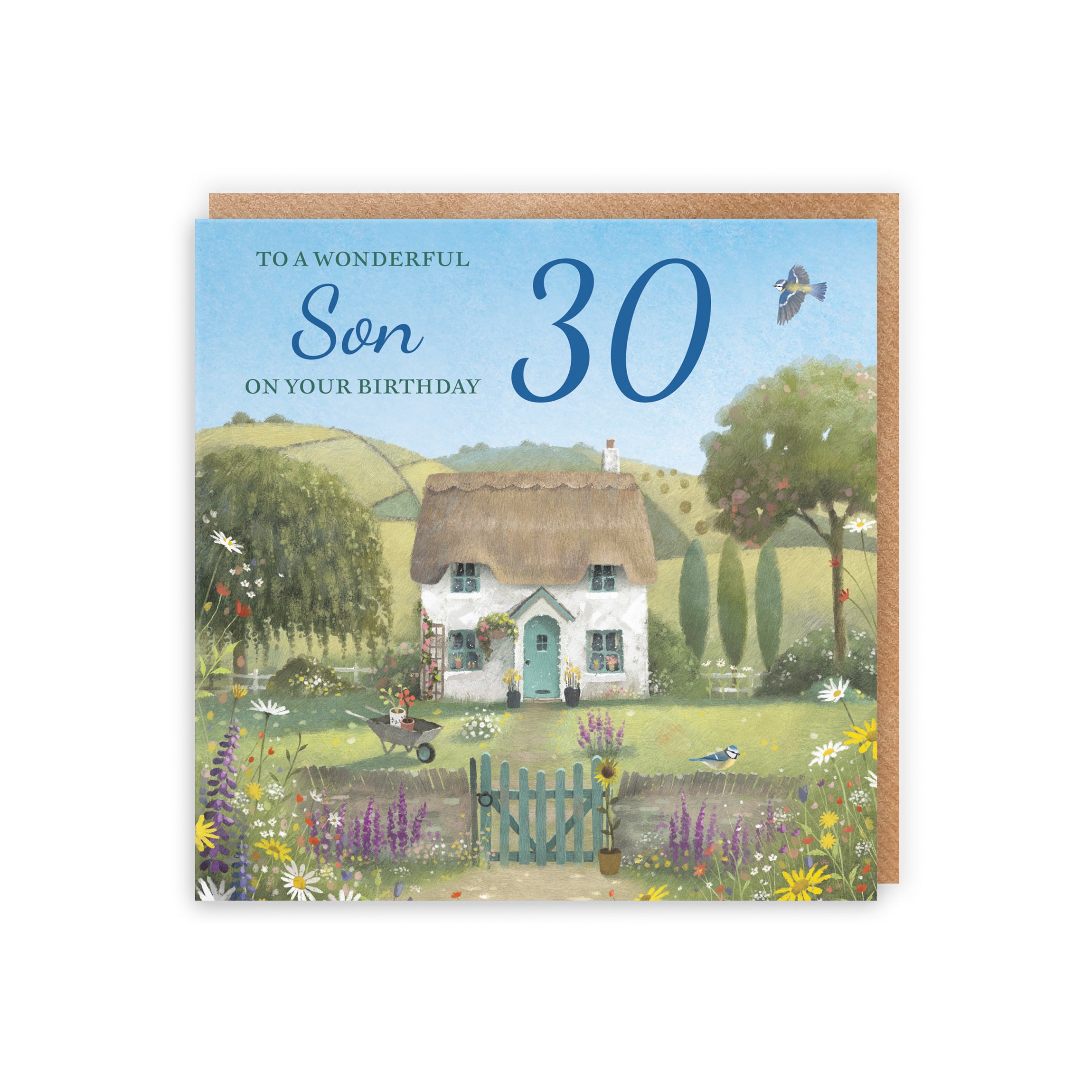 30th Son Birthday Card Thatched Cottage Milo's Gallery - Default Title (RT06773)