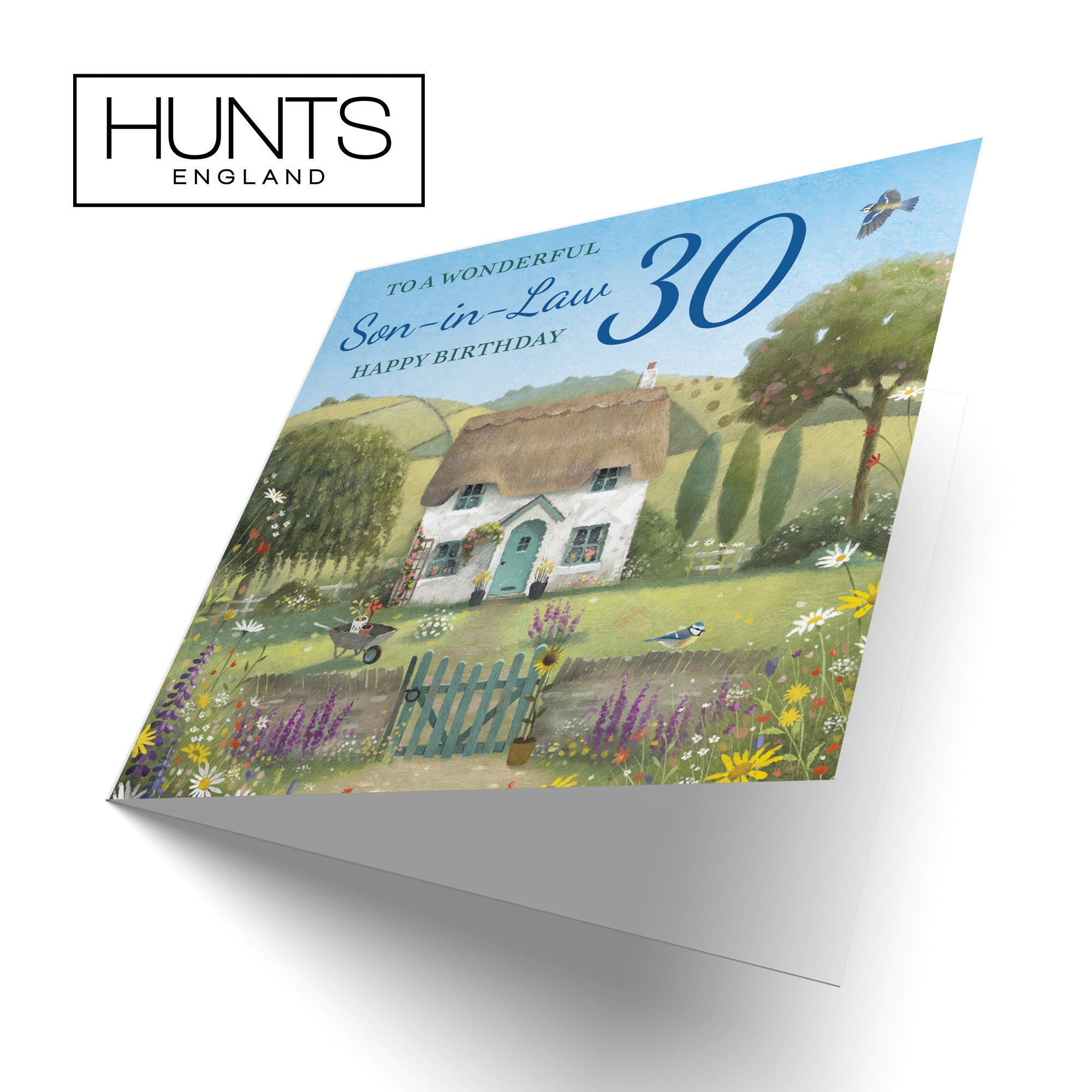 30th Son-in-Law Birthday Card Thatched Cottage Milo's Gallery - Default Title (RT06781)