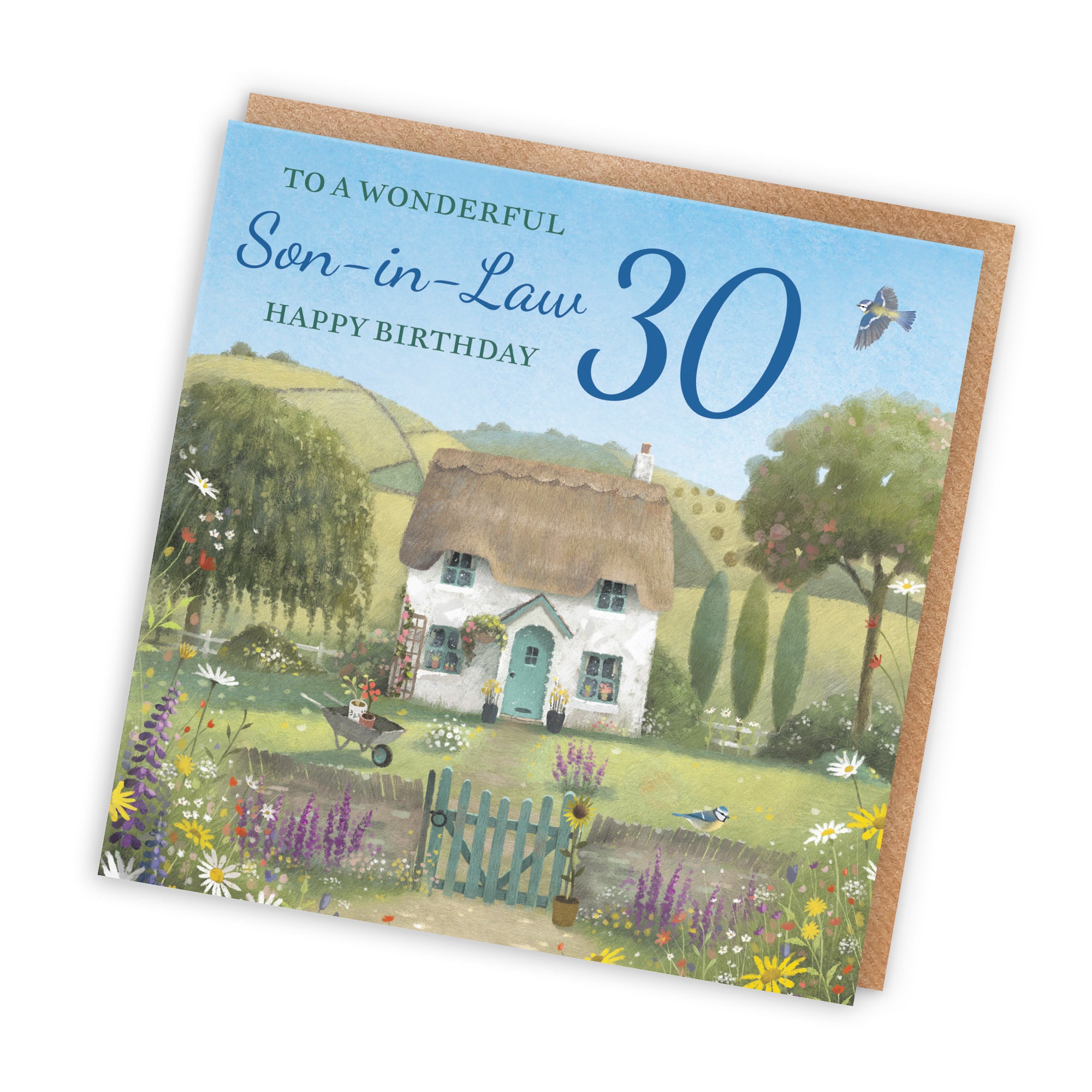 30th Son-in-Law Birthday Card Thatched Cottage Milo's Gallery - Default Title (RT06781)