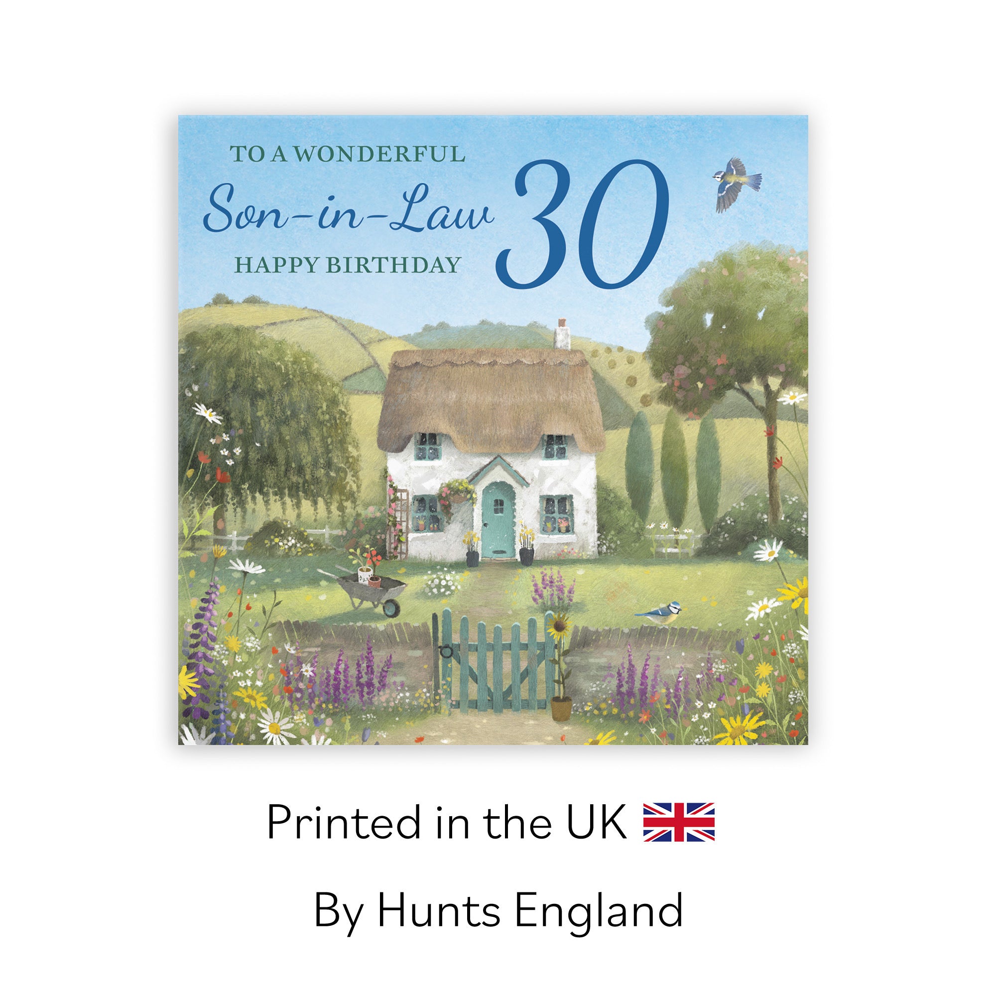 30th Son-in-Law Birthday Card Thatched Cottage Milo's Gallery - Default Title (RT06781)