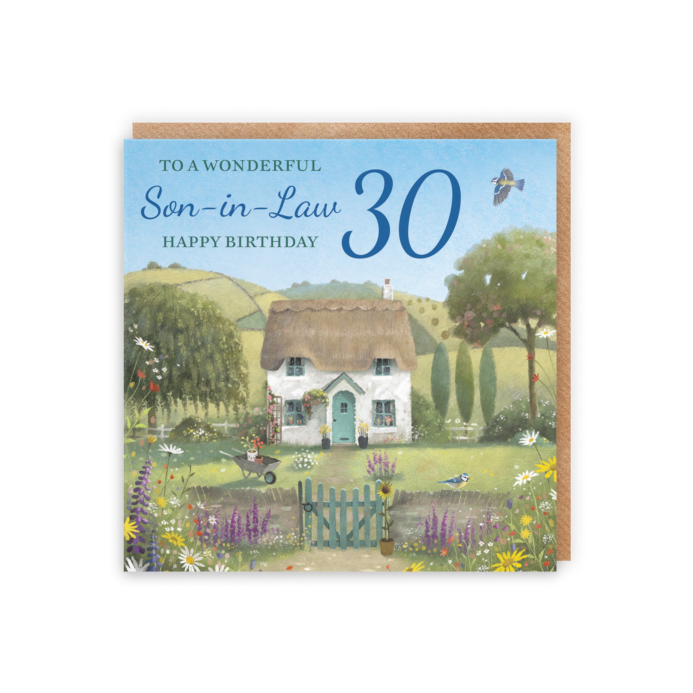 30th Son-in-Law Birthday Card Thatched Cottage Milo's Gallery - Default Title (RT06781)