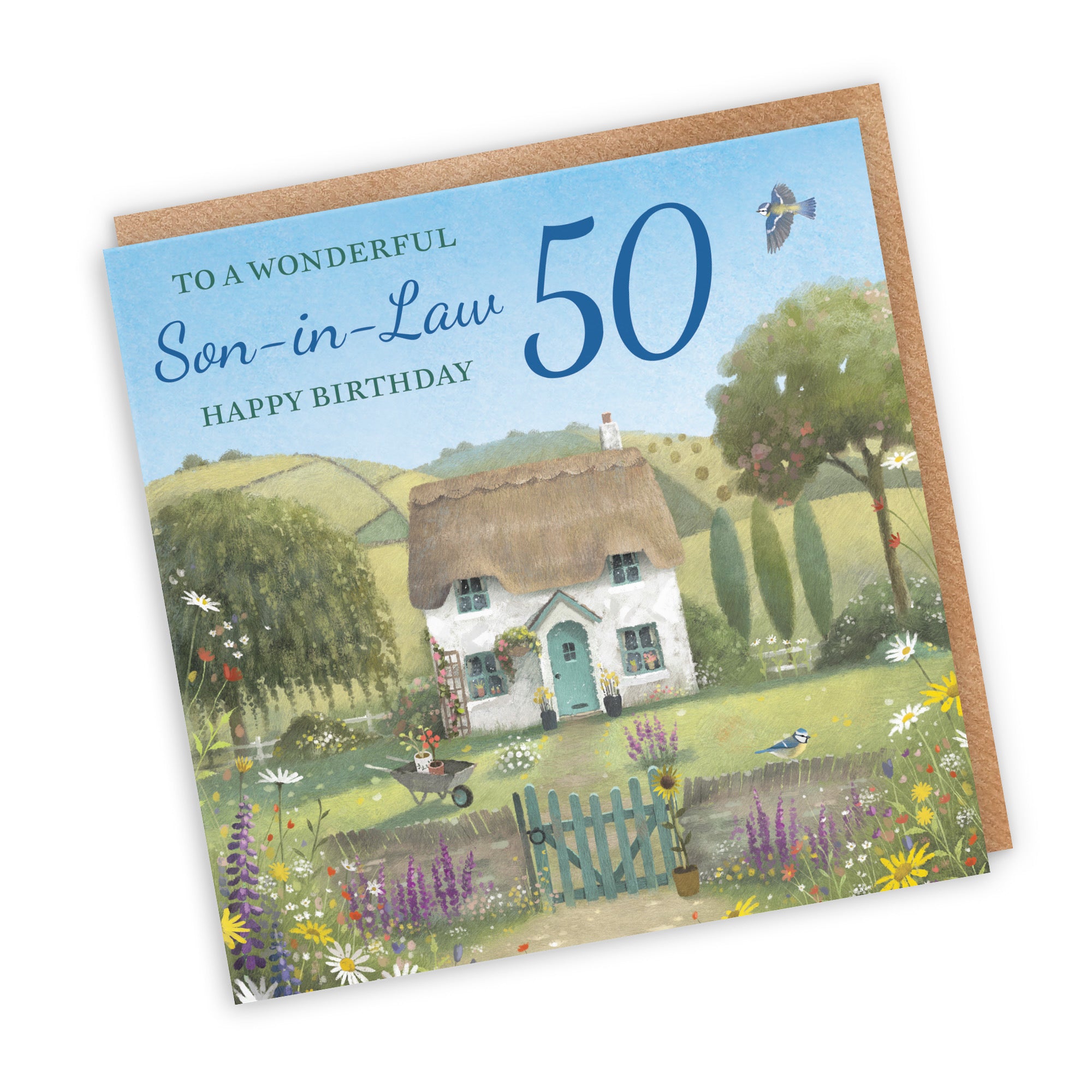 50th Son-in-Law Birthday Card Thatched Cottage Milo's Gallery - Default Title (RT06783)