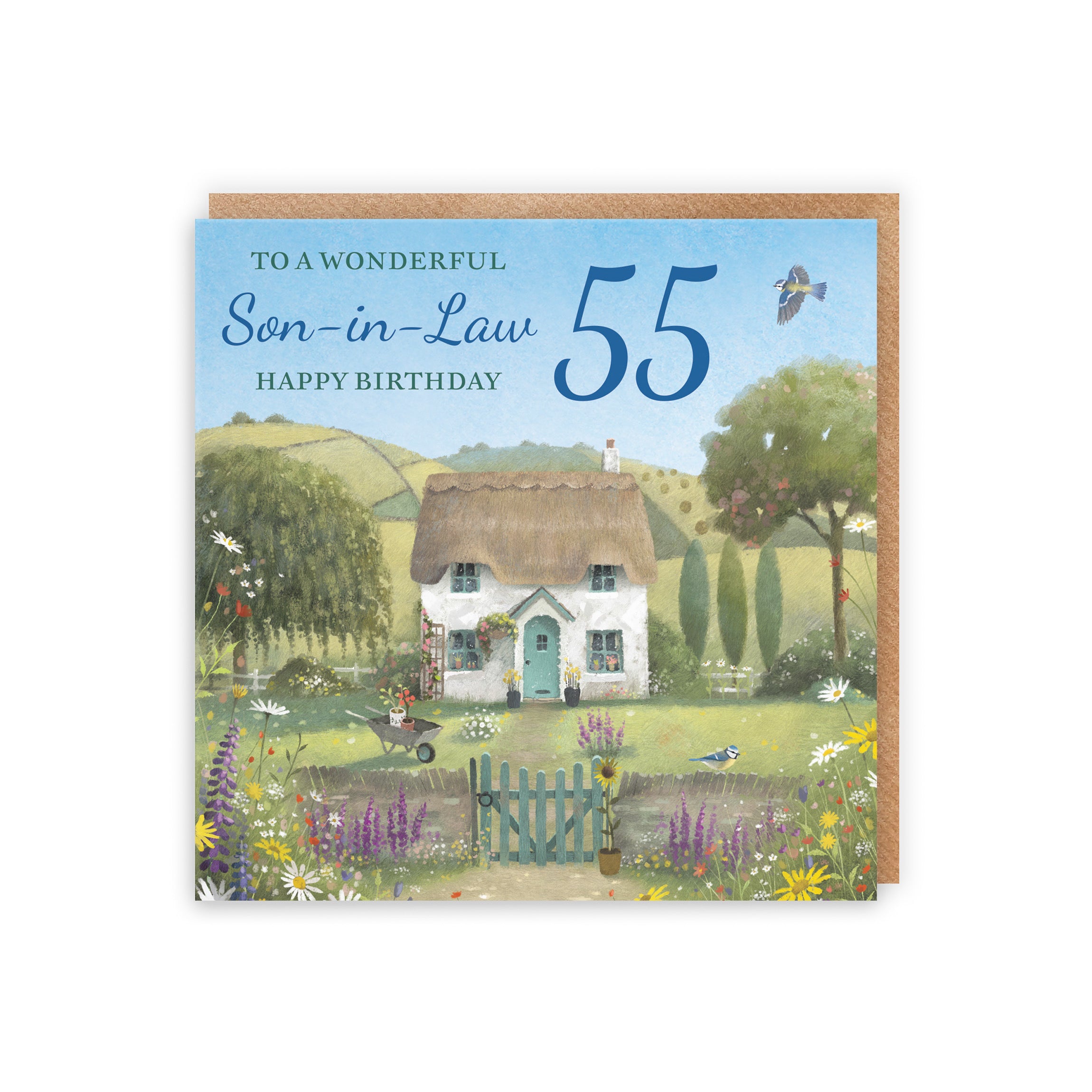 55th Son-in-Law Birthday Card Thatched Cottage Milo's Gallery - Default Title (RT06784)