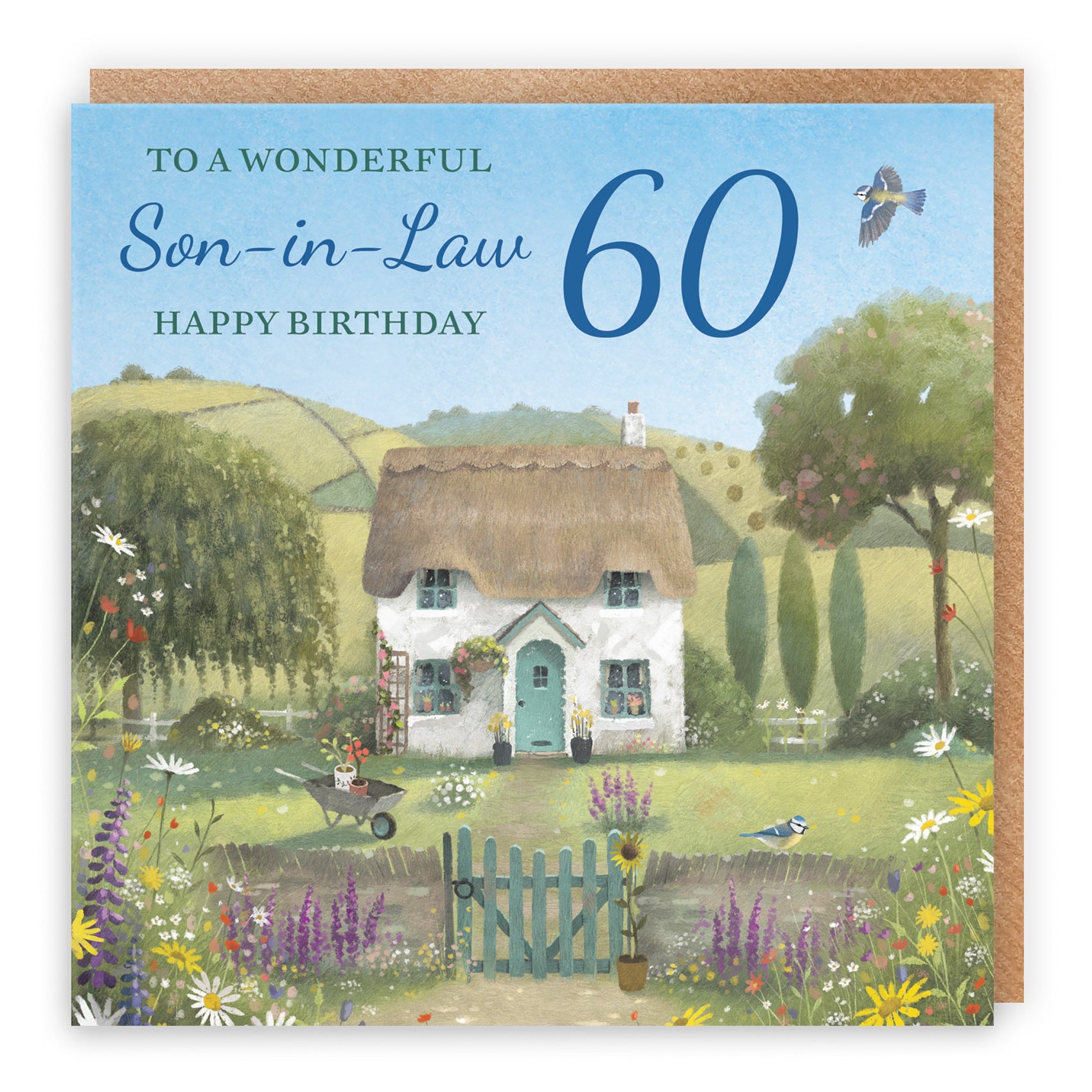 60th Son-in-Law Birthday Card Thatched Cottage Milo's Gallery - Default Title (RT06785)