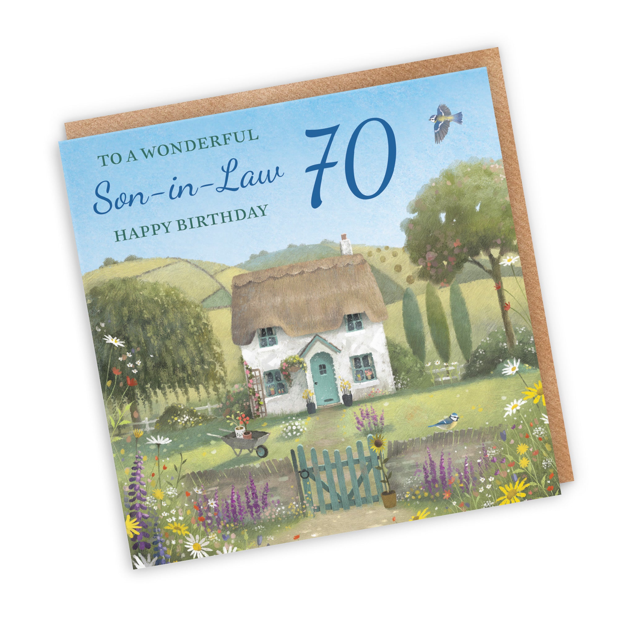 70th Son-in-Law Birthday Card Thatched Cottage Milo's Gallery - Default Title (RT06786)
