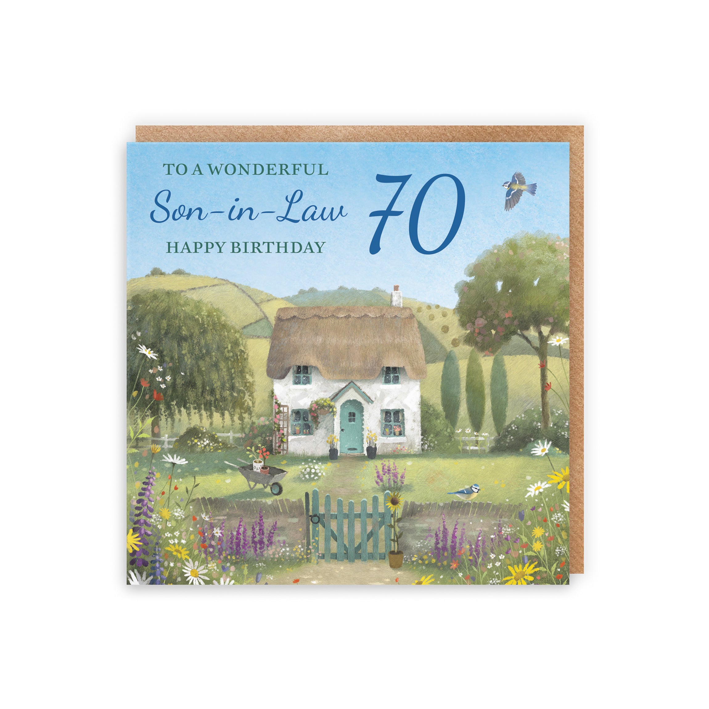 70th Son-in-Law Birthday Card Thatched Cottage Milo's Gallery - Default Title (RT06786)