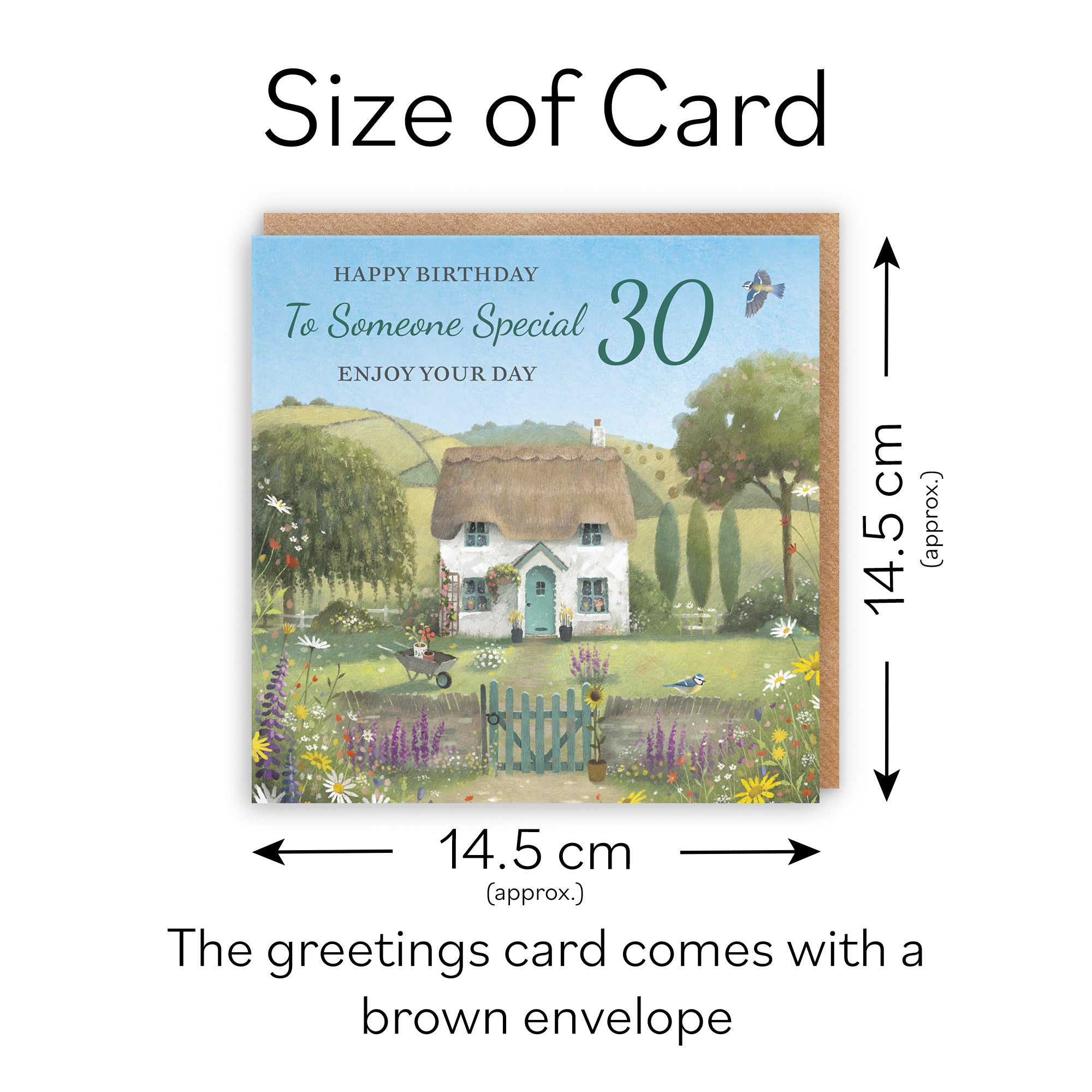 30th Someone Special Birthday Card Thatched Cottage Milo's Gallery - Default Title (RT06787)
