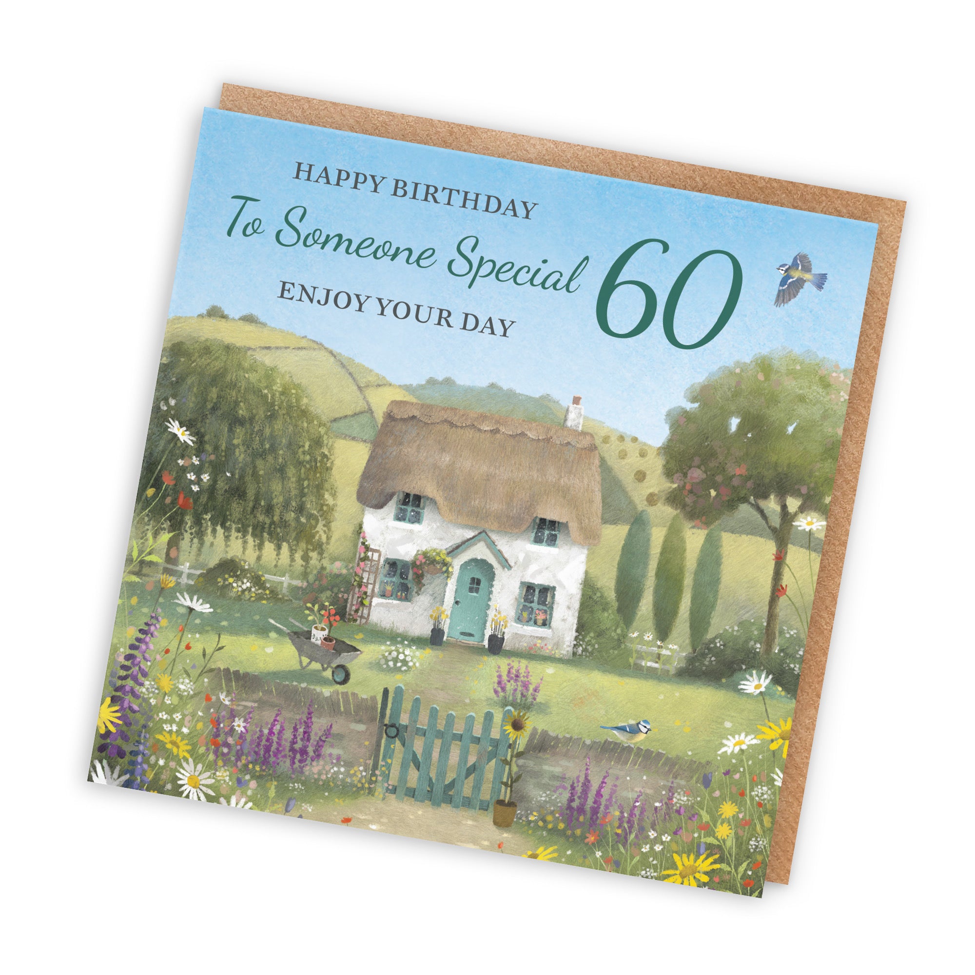 60th Someone Special Birthday Card Thatched Cottage Milo's Gallery - Default Title (RT06790)