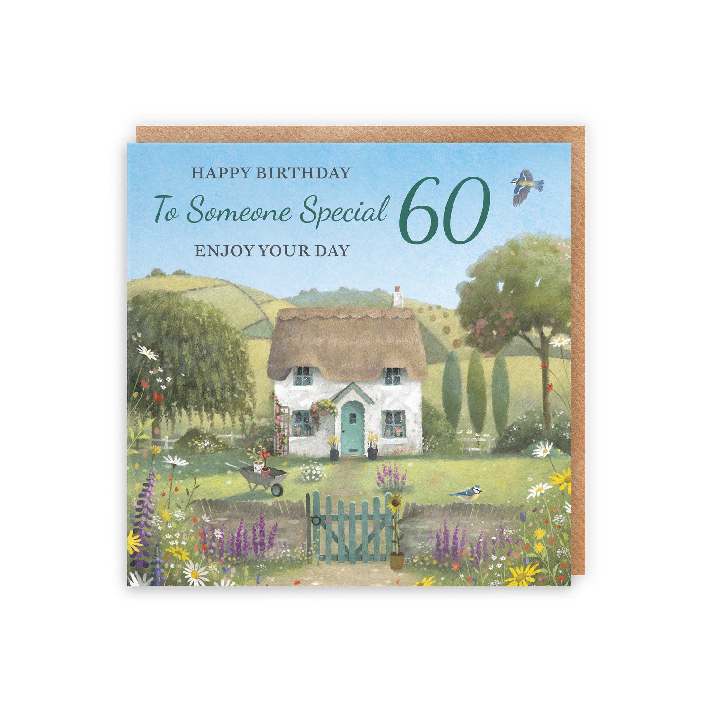 60th Someone Special Birthday Card Thatched Cottage Milo's Gallery - Default Title (RT06790)