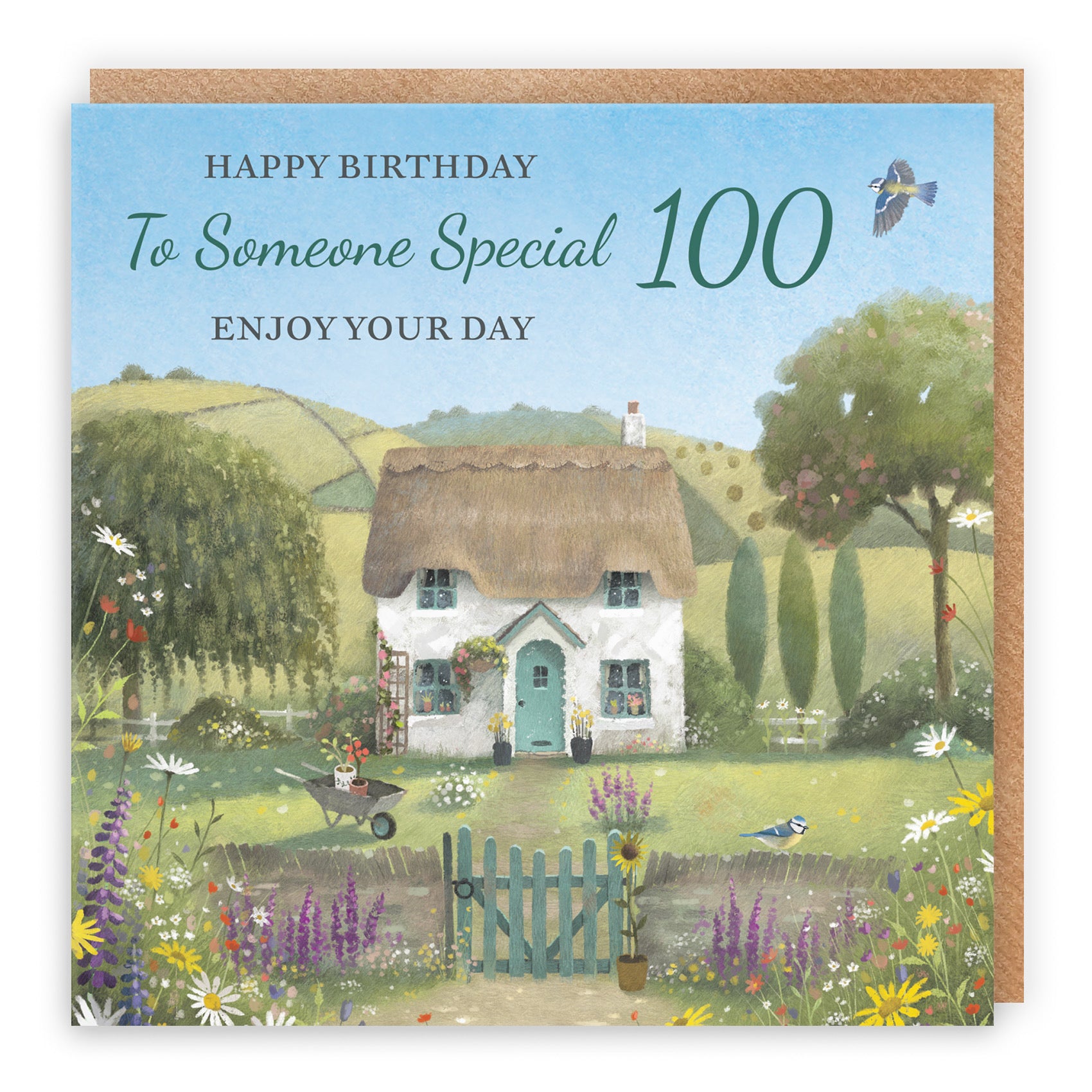 100th Someone Special Birthday Card Thatched Cottage Milo's Gallery - Default Title (RT06794)