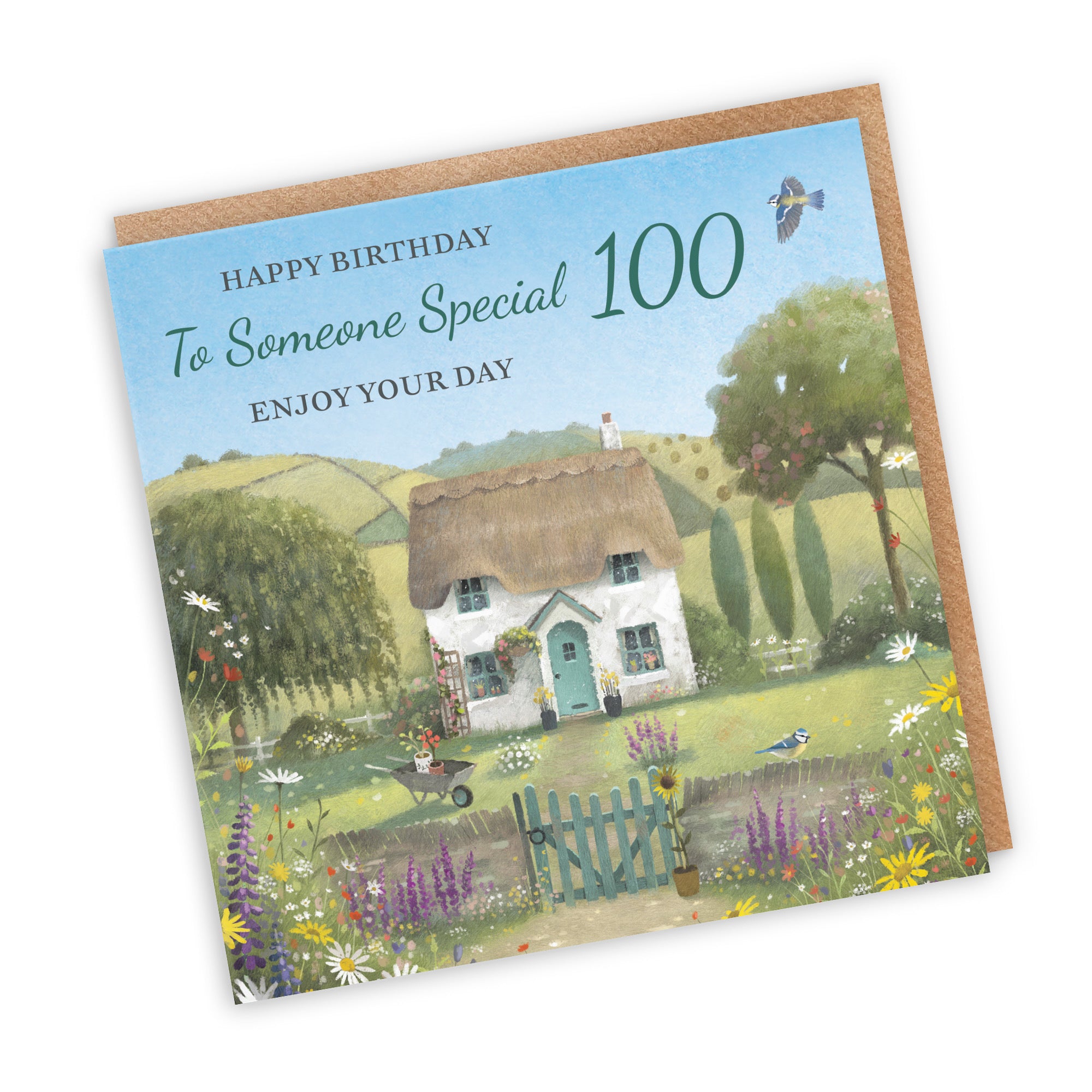 100th Someone Special Birthday Card Thatched Cottage Milo's Gallery - Default Title (RT06794)