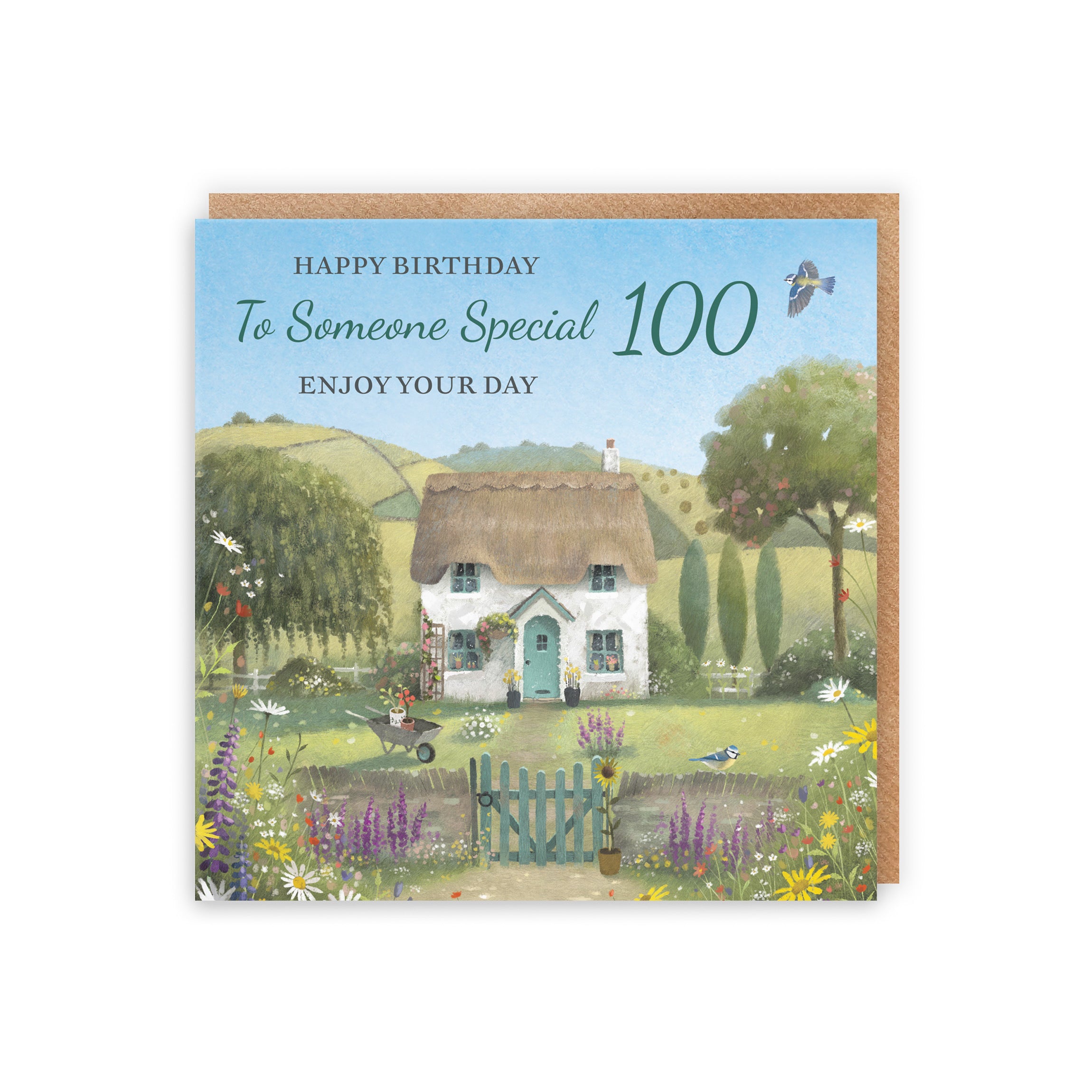 100th Someone Special Birthday Card Thatched Cottage Milo's Gallery - Default Title (RT06794)