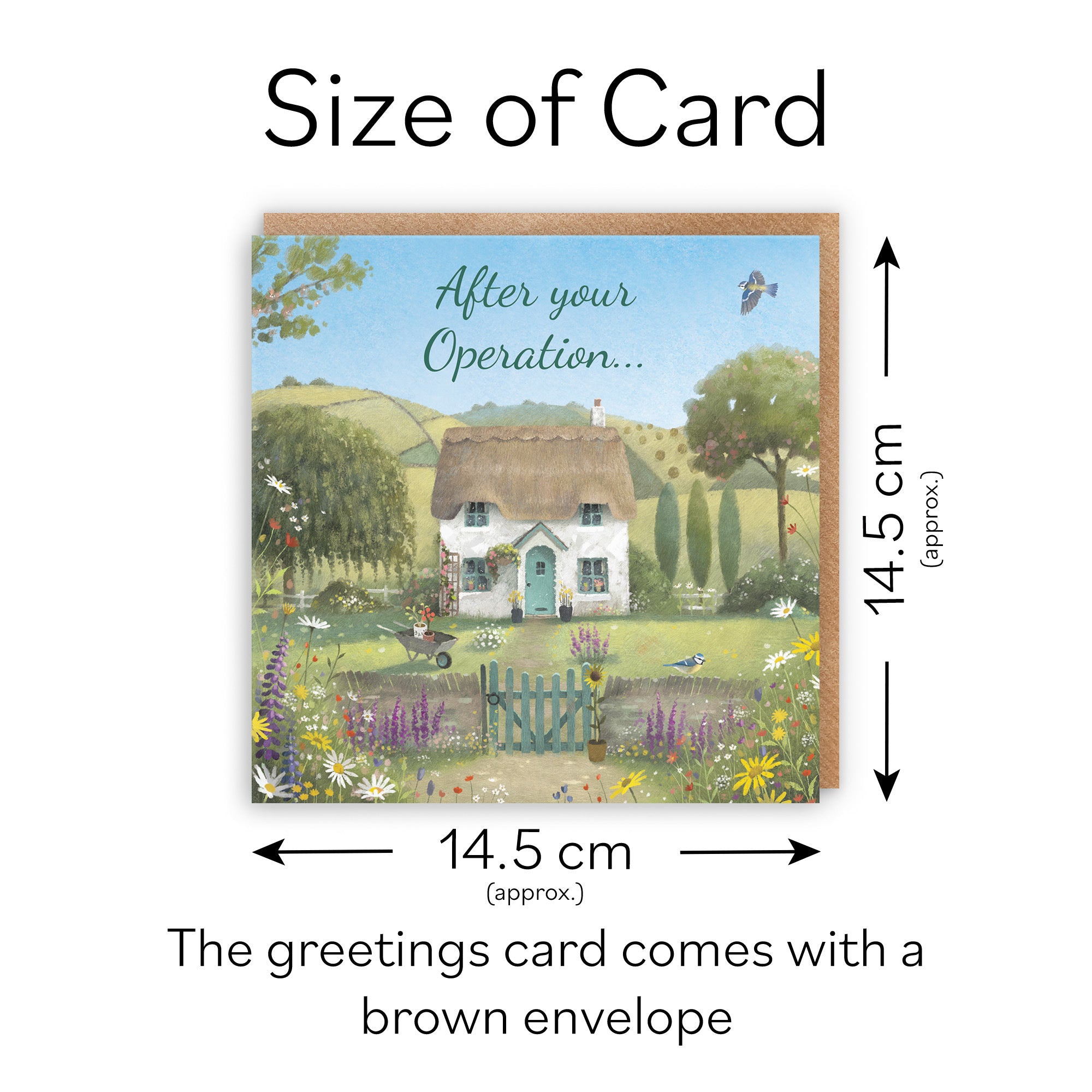 After Operation Get Well Card Thatched Cottage Milo's Gallery - Default Title (RT06819)