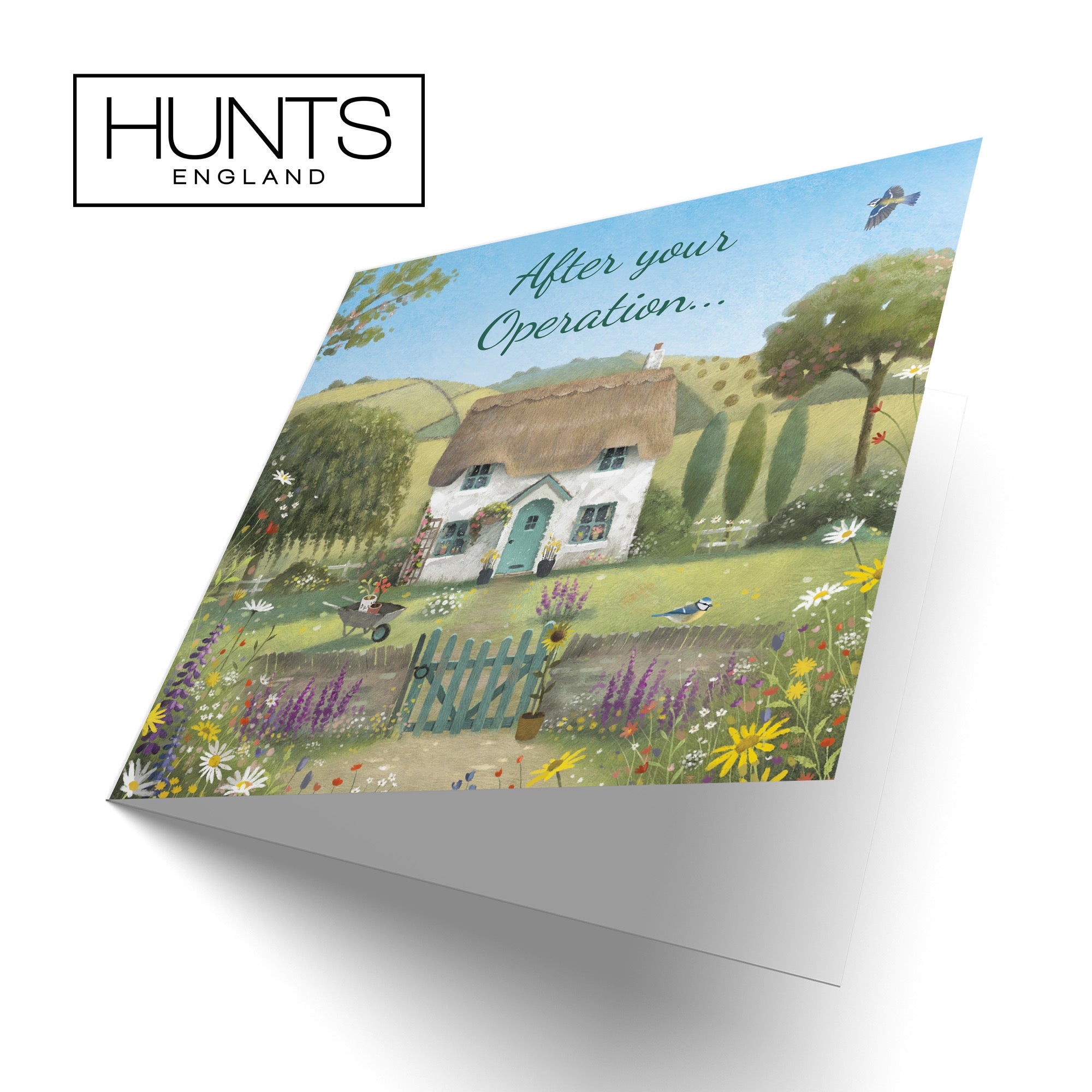 After Operation Get Well Card Thatched Cottage Milo's Gallery - Default Title (RT06819)