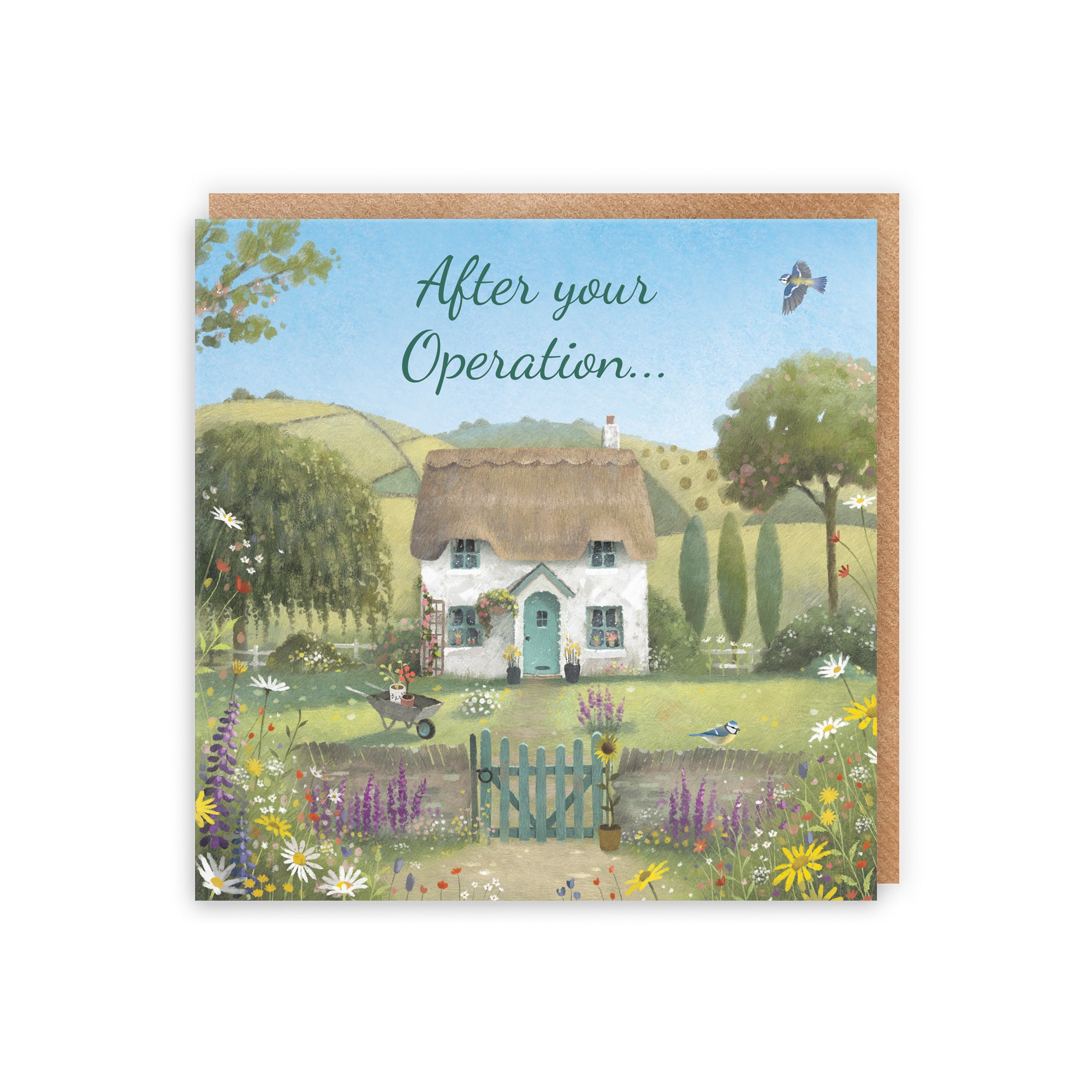 After Operation Get Well Card Thatched Cottage Milo's Gallery - Default Title (RT06819)