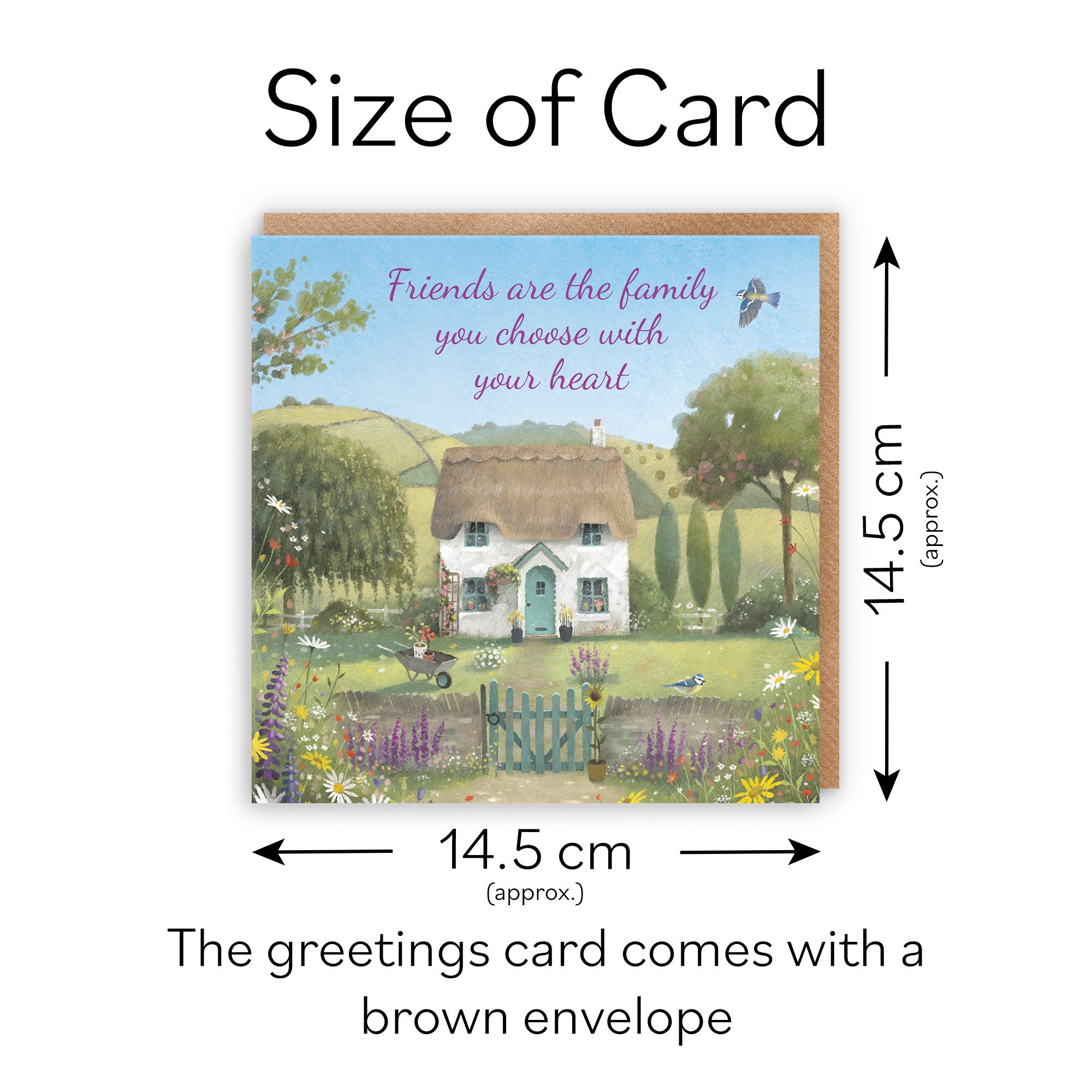 Friends Are Family You Choose Friendship Card Thatched Cottage Milo's Gallery - Default Title (RT06843)