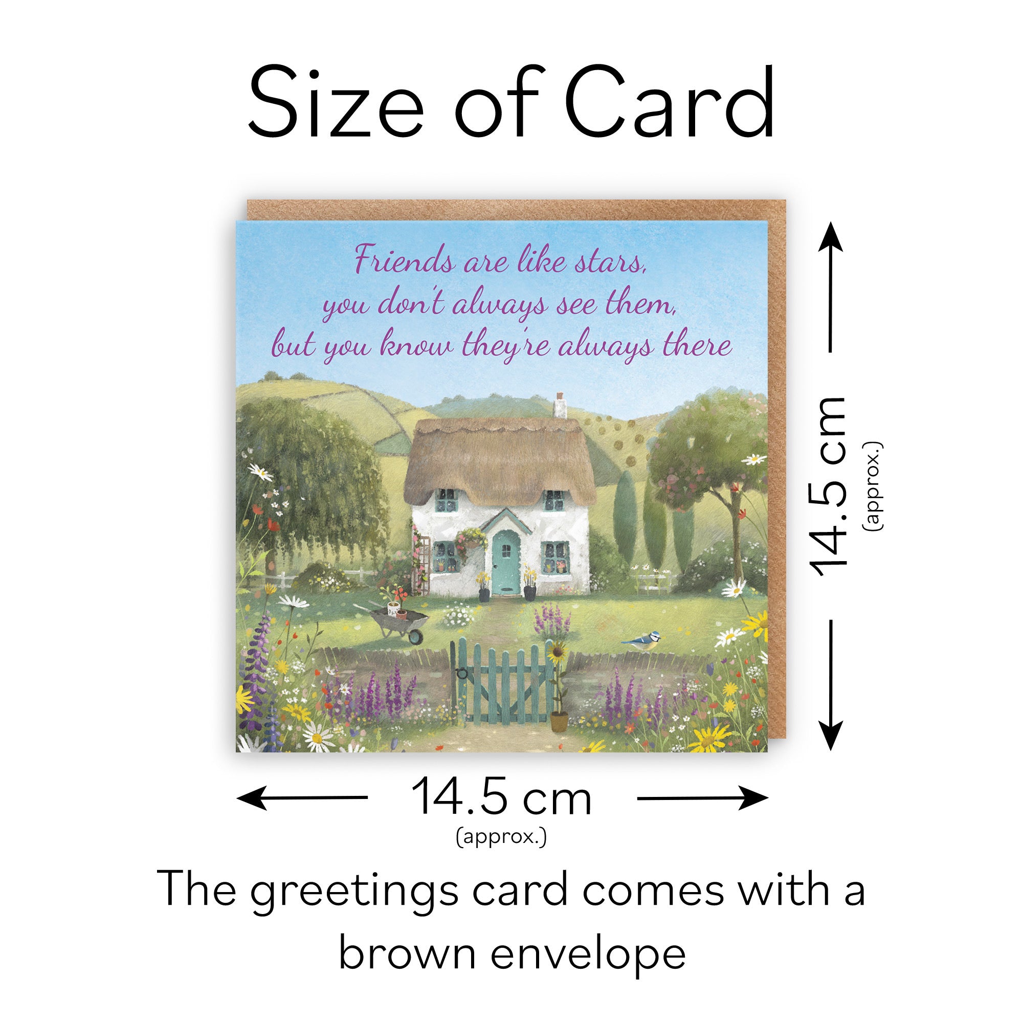 Friends Are Like Stars Friendship Card Thatched Cottage Milo's Gallery - Default Title (RT06844)