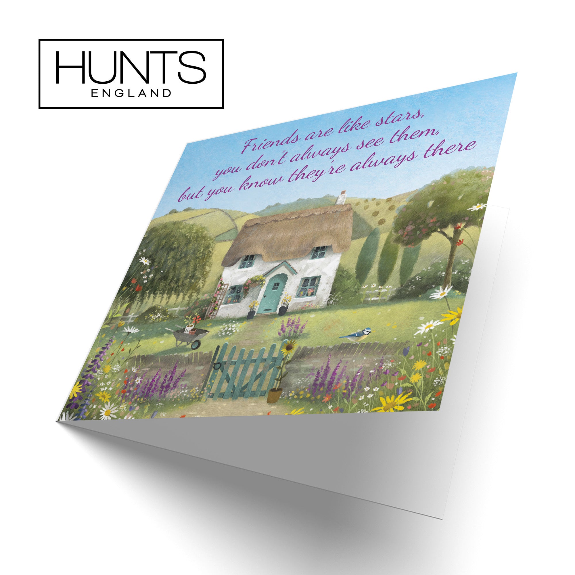 Friends Are Like Stars Friendship Card Thatched Cottage Milo's Gallery - Default Title (RT06844)
