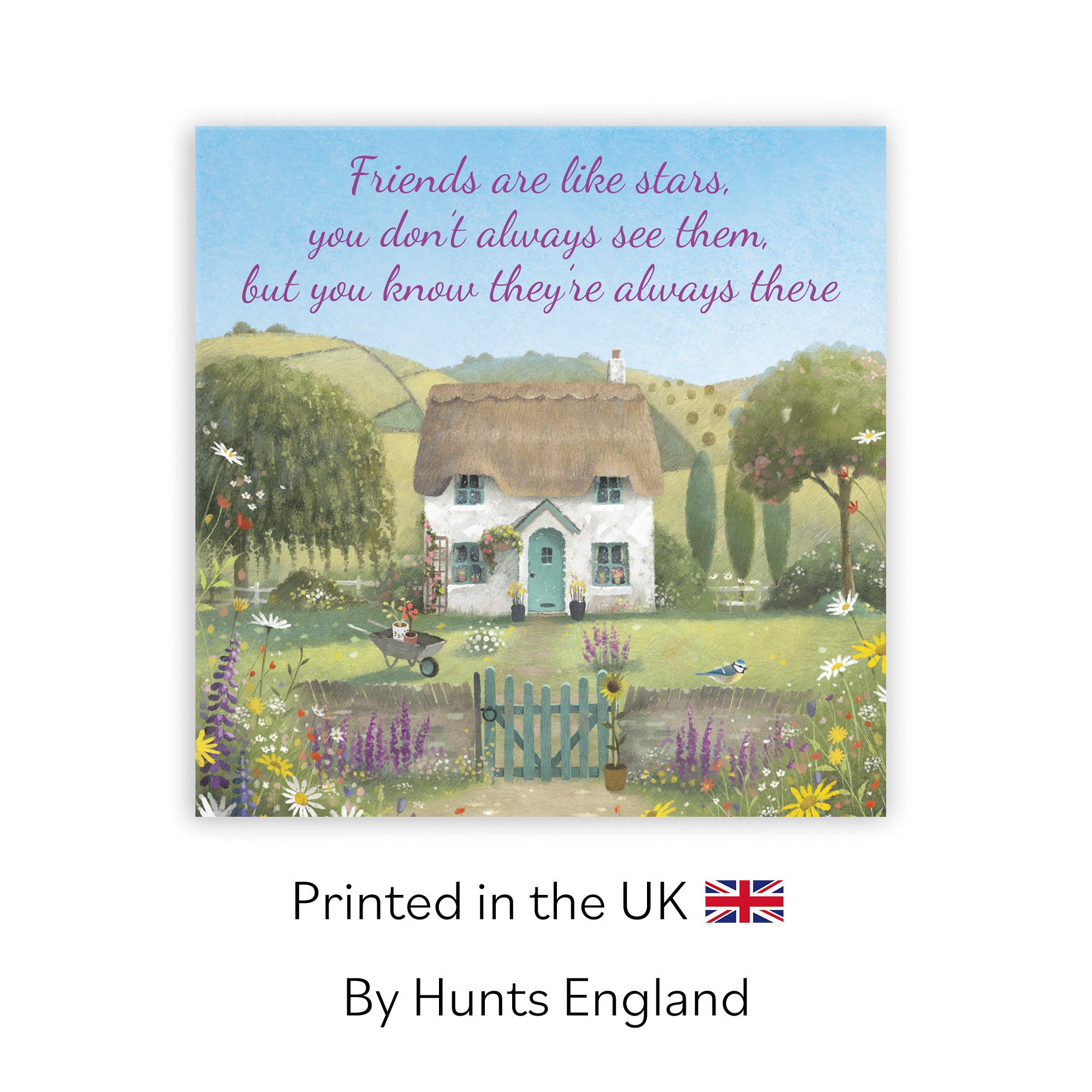Friends Are Like Stars Friendship Card Thatched Cottage Milo's Gallery - Default Title (RT06844)