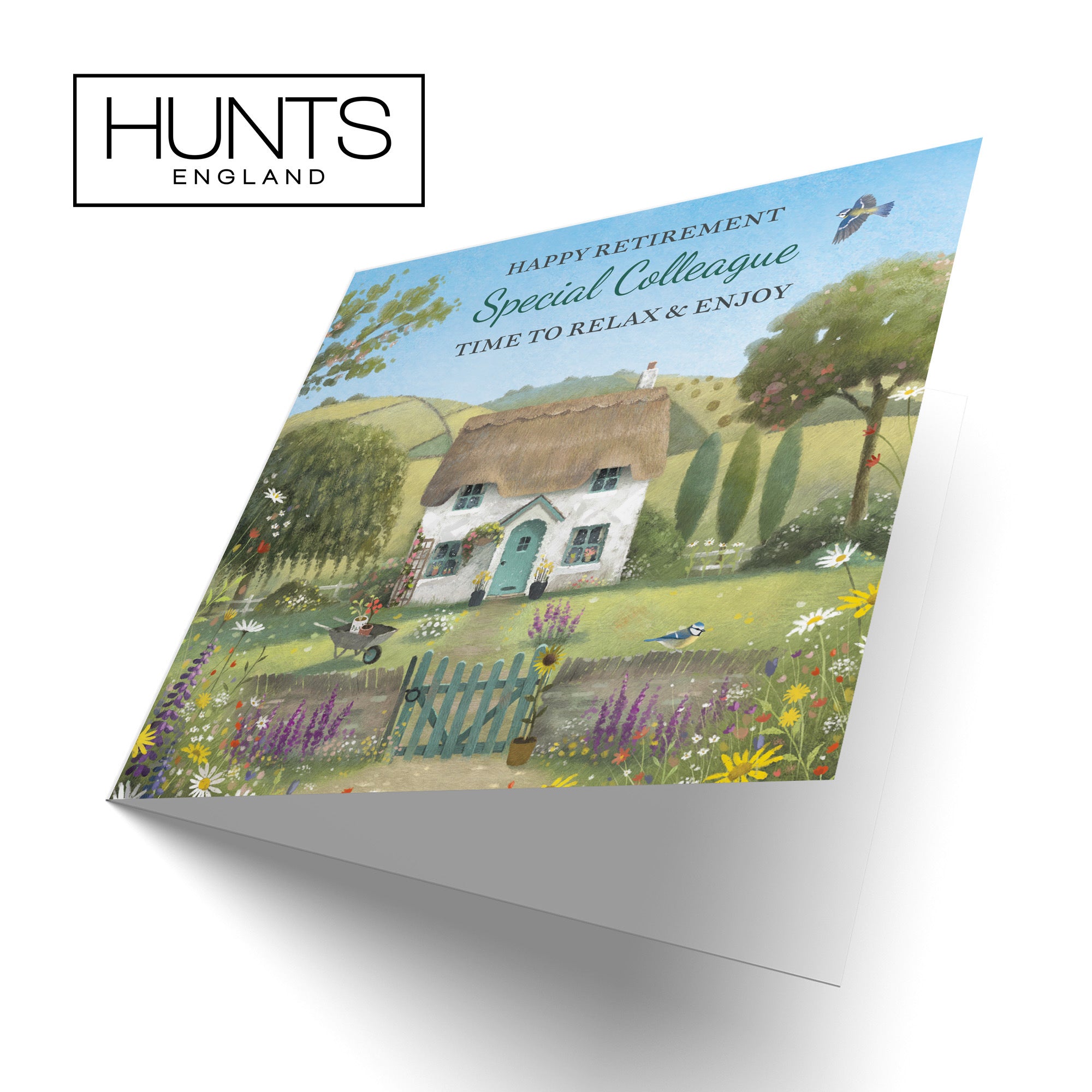 Colleague Retirement Card Thatched Cottage Milo's Gallery - Default Title (RT06859)