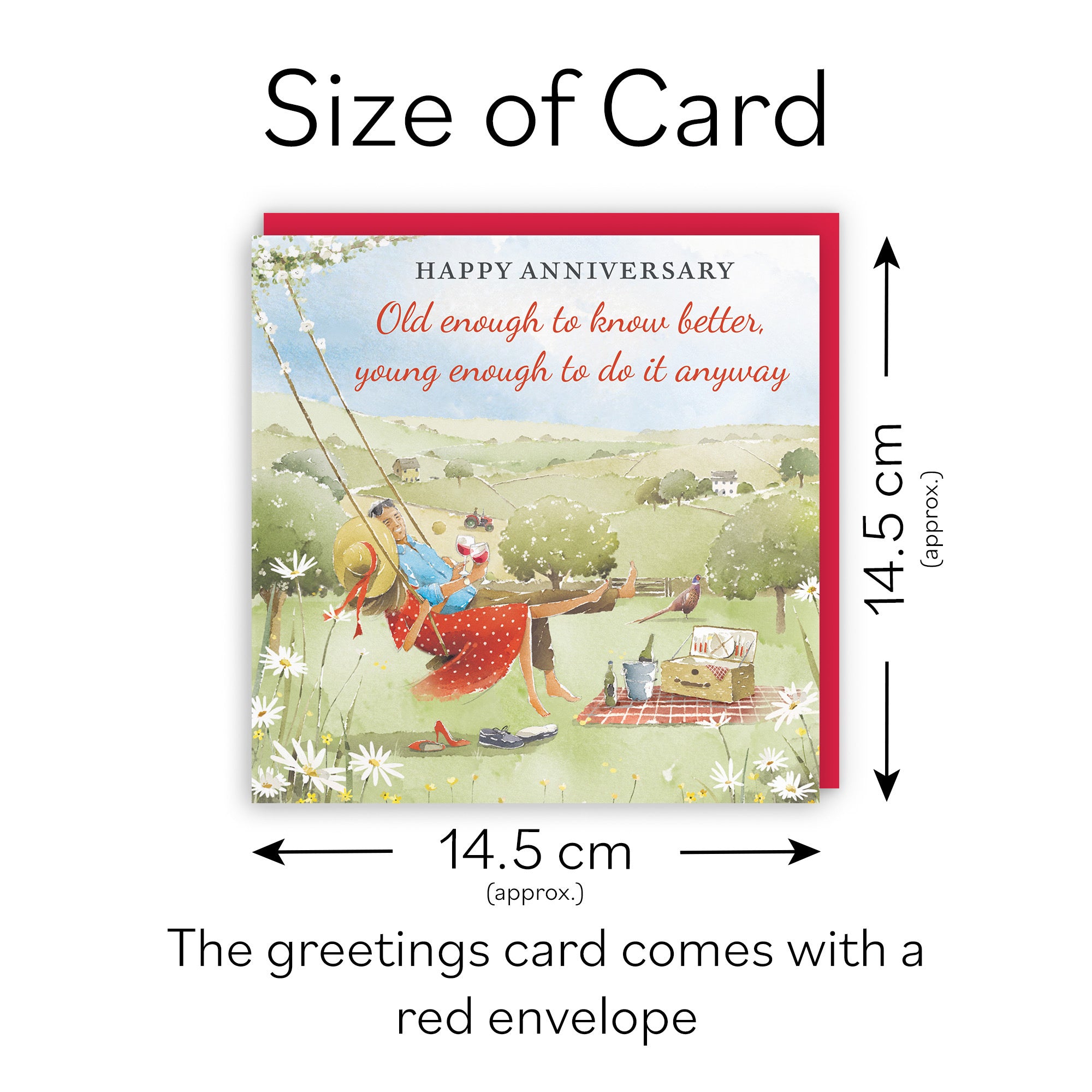 Anniversary Card Meadow Picnic Funny Old Enough To Know Better Milo's Gallery - Default Title (RT06907)