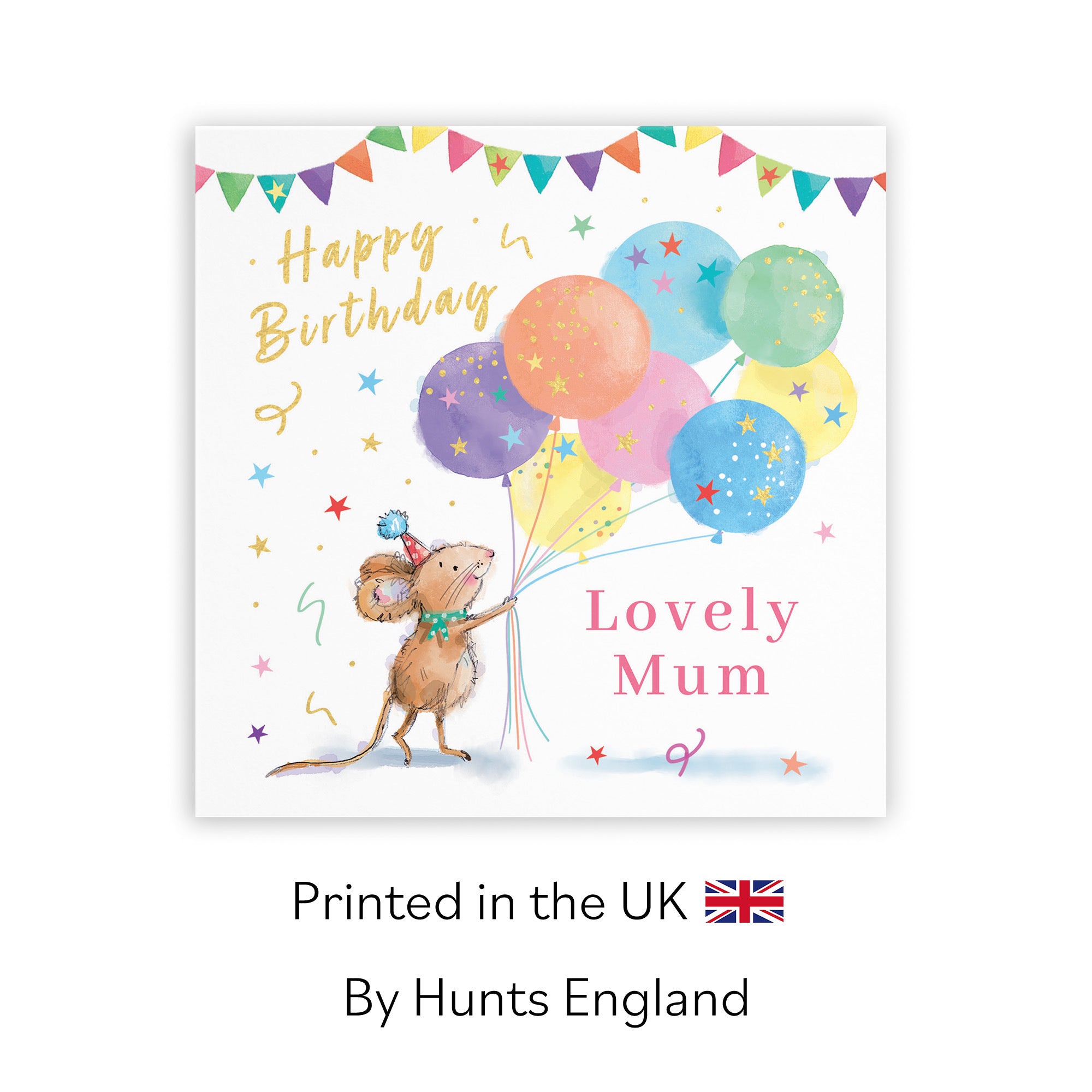 Mum Birthday Card Colourful Balloons Gold Foil Little Whiskers - Default Title (SN00443)