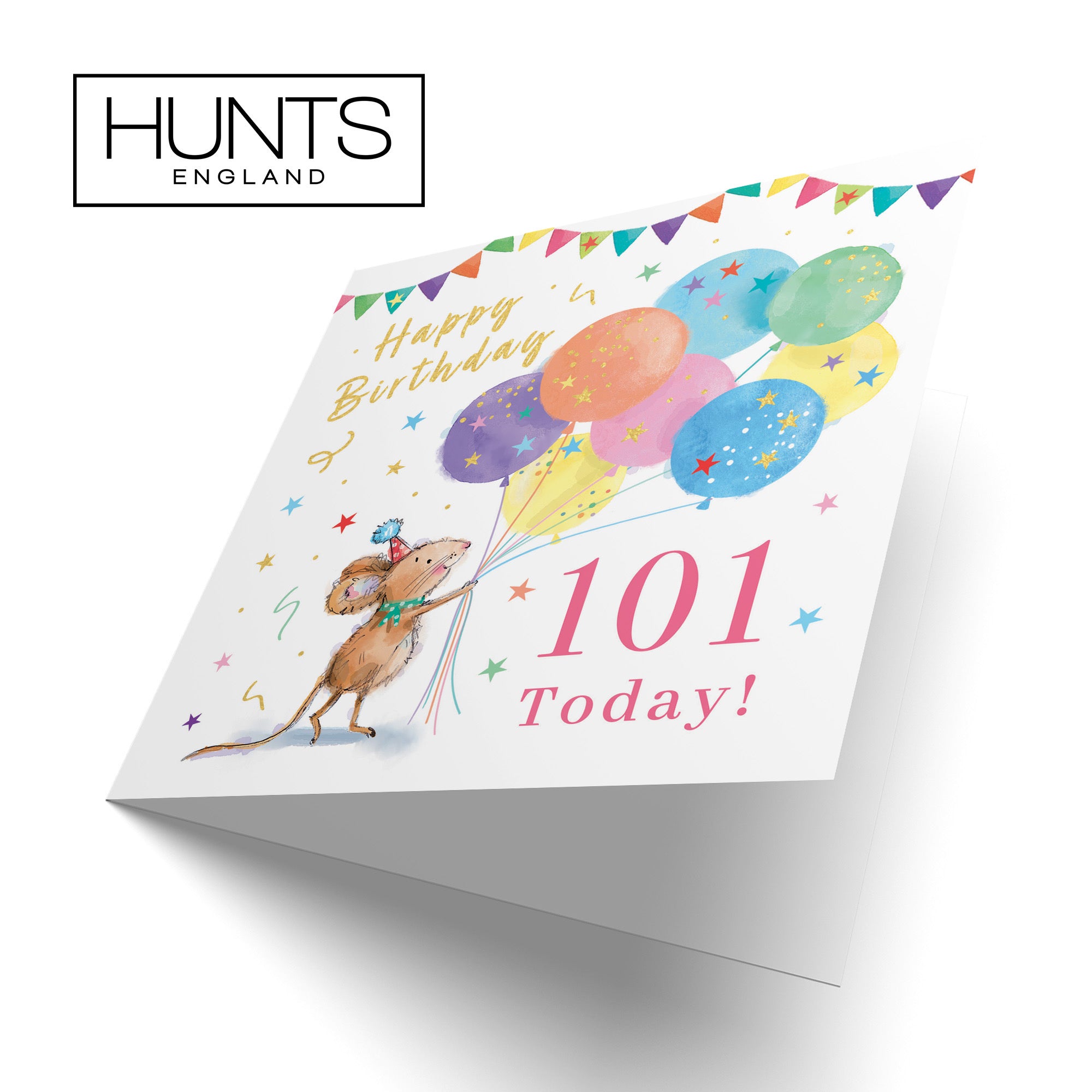 Women's 101st Birthday Card Colourful Balloons Gold Foil Little Whiskers - Default Title (SN00465)