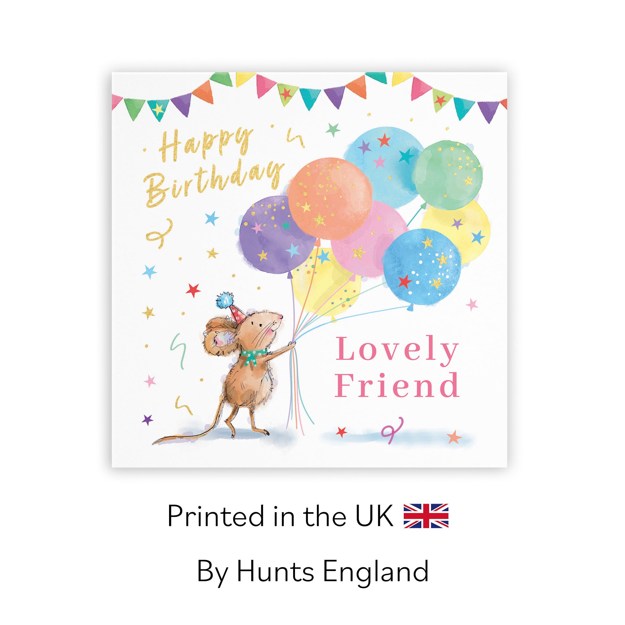 Female Friend Birthday Card Colourful Balloons Gold Foil Little Whiskers - Default Title (SN00531)
