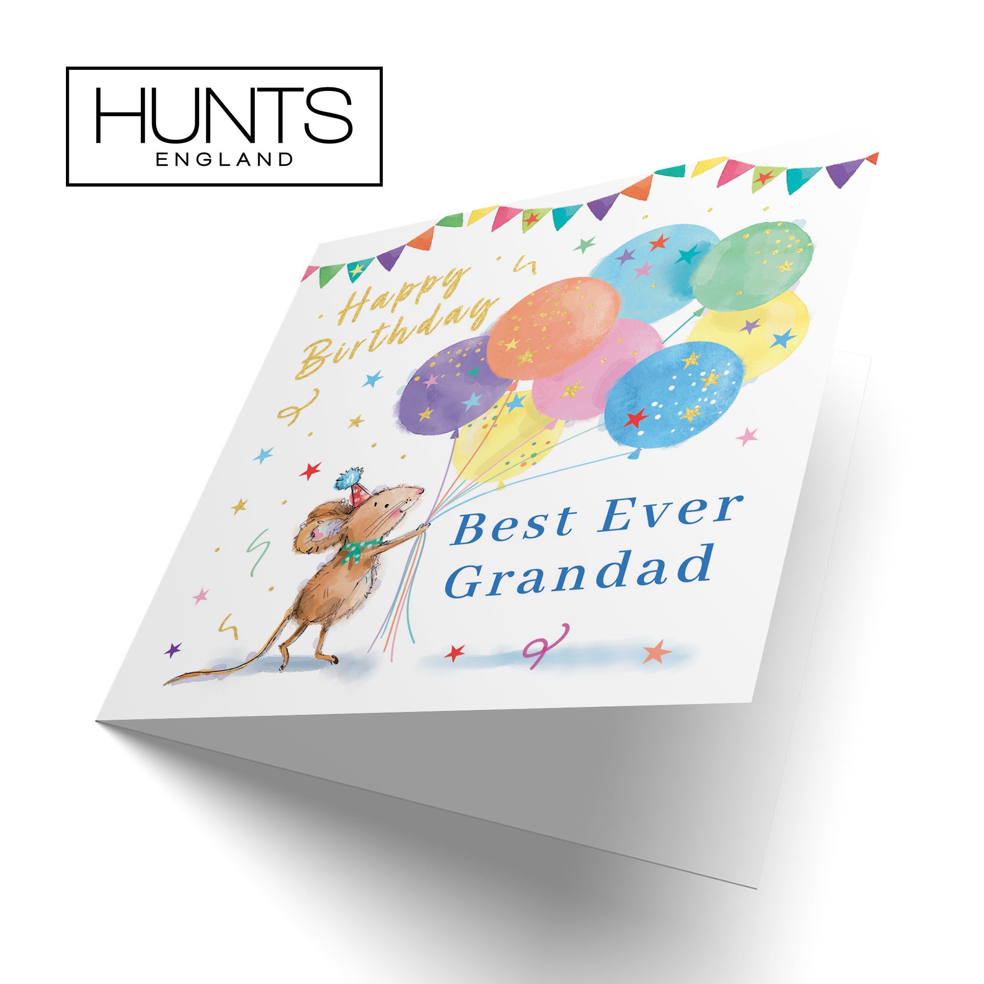 Grandad Birthday Card Colourful Balloons Gold Foil Little Whiskers - Default Title (SN00543)