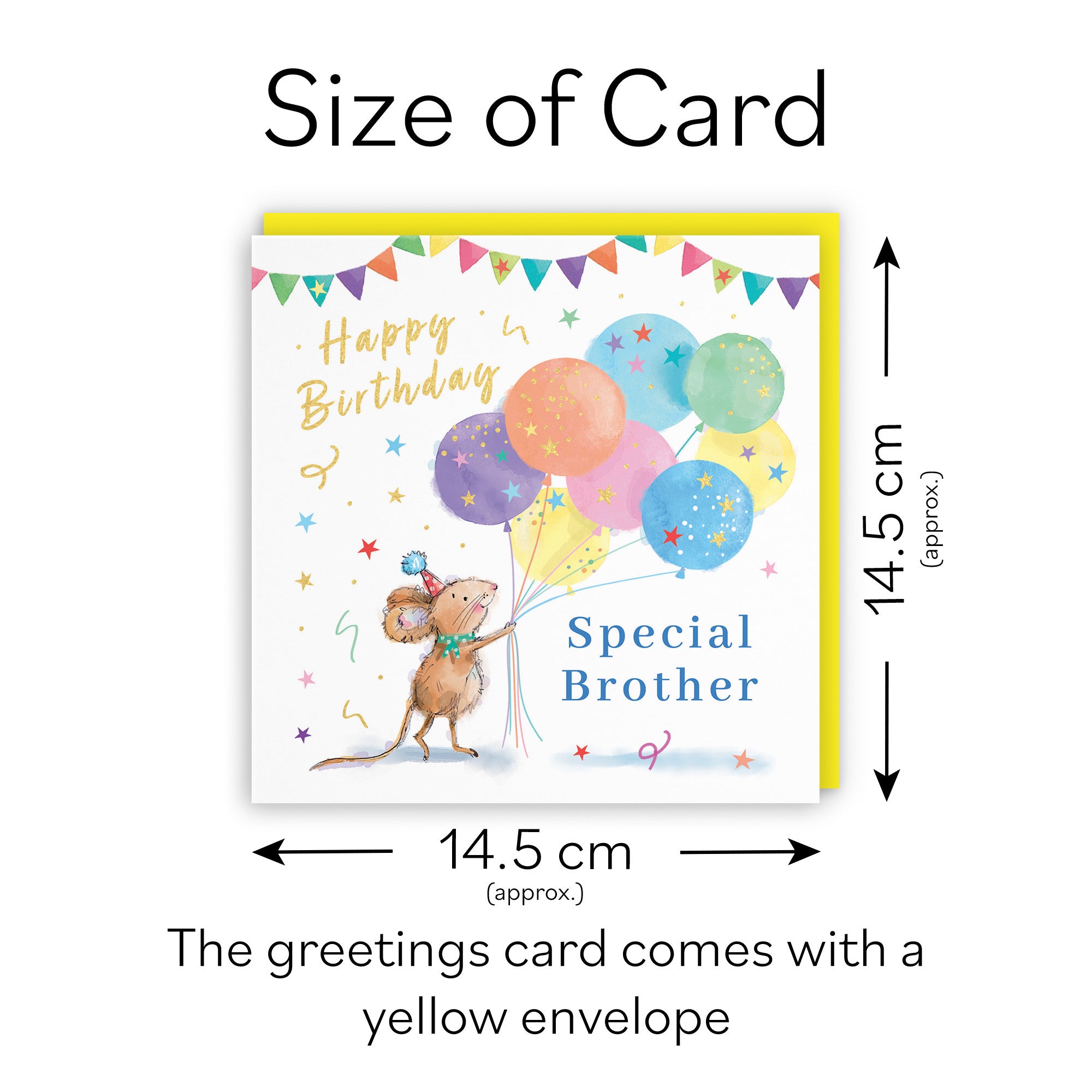 Brother Birthday Card Colourful Balloons Gold Foil Little Whiskers - Default Title (SN00546)