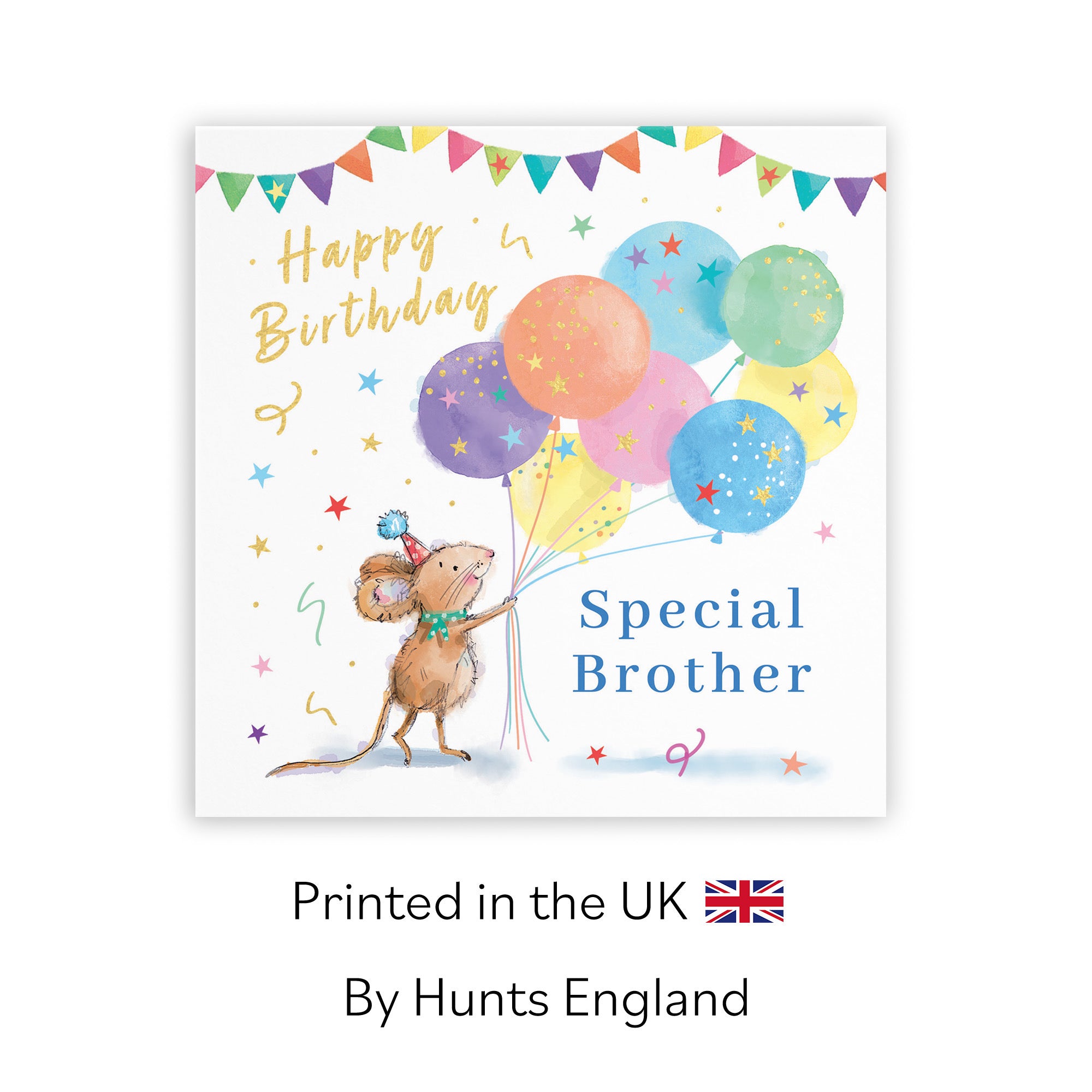 Brother Birthday Card Colourful Balloons Gold Foil Little Whiskers - Default Title (SN00546)