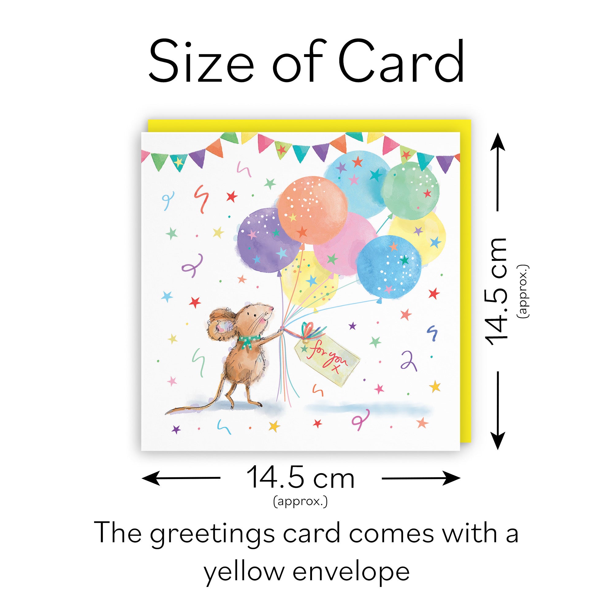 Any Occasion Card Colourful Balloons Little Whiskers - Default Title (SN00552)