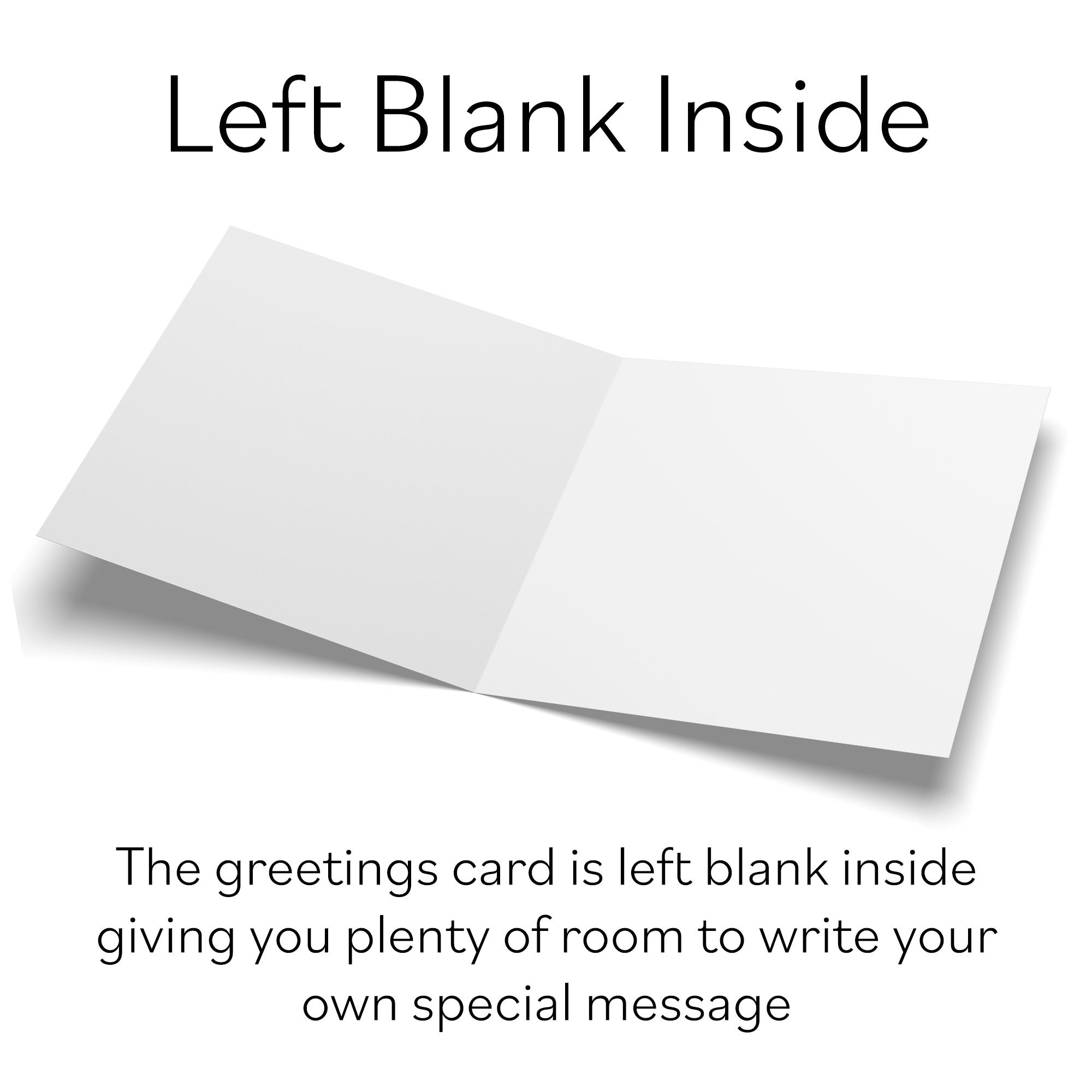 Any Occasion Card Colourful Balloons Little Whiskers - Default Title (SN00552)
