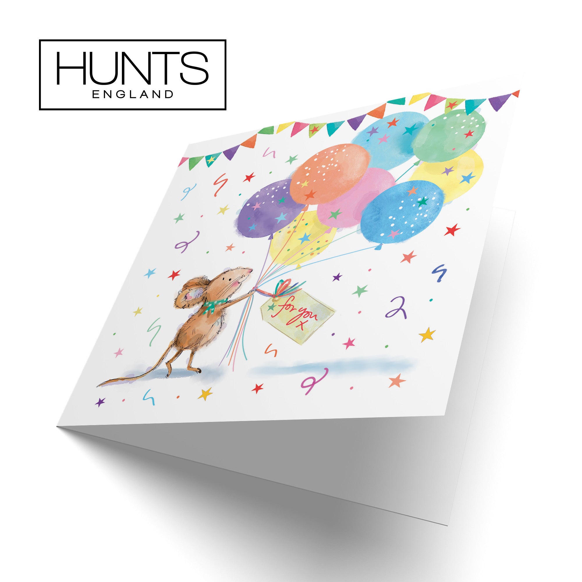 Any Occasion Card Colourful Balloons Little Whiskers - Default Title (SN00552)