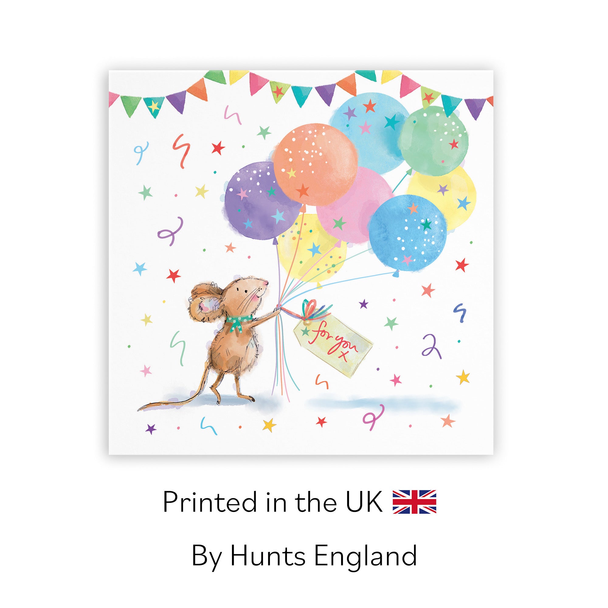 Any Occasion Card Colourful Balloons Little Whiskers - Default Title (SN00552)