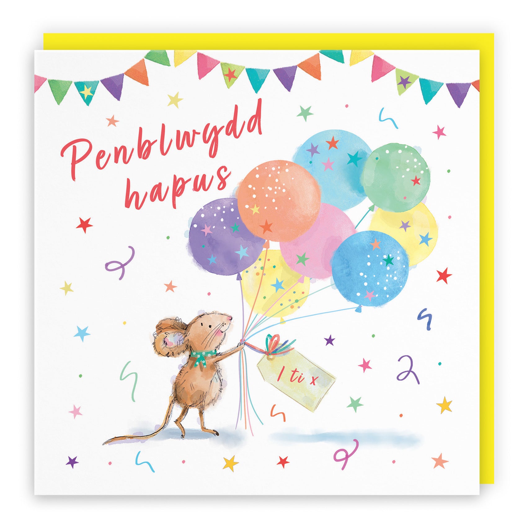Welsh Language Birthday Card Colourful Balloons Little Whiskers - Default Title (SN00553)