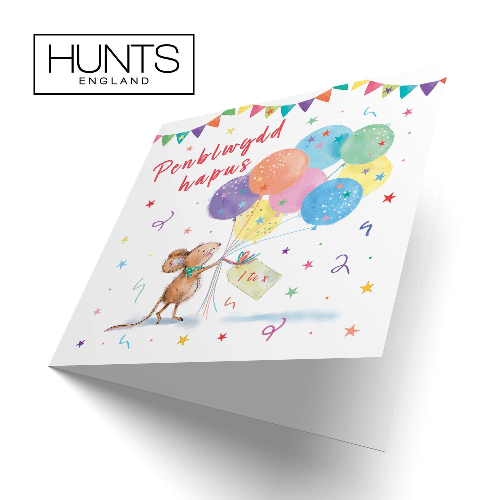 Welsh Language Birthday Card Colourful Balloons Little Whiskers - Default Title (SN00553)