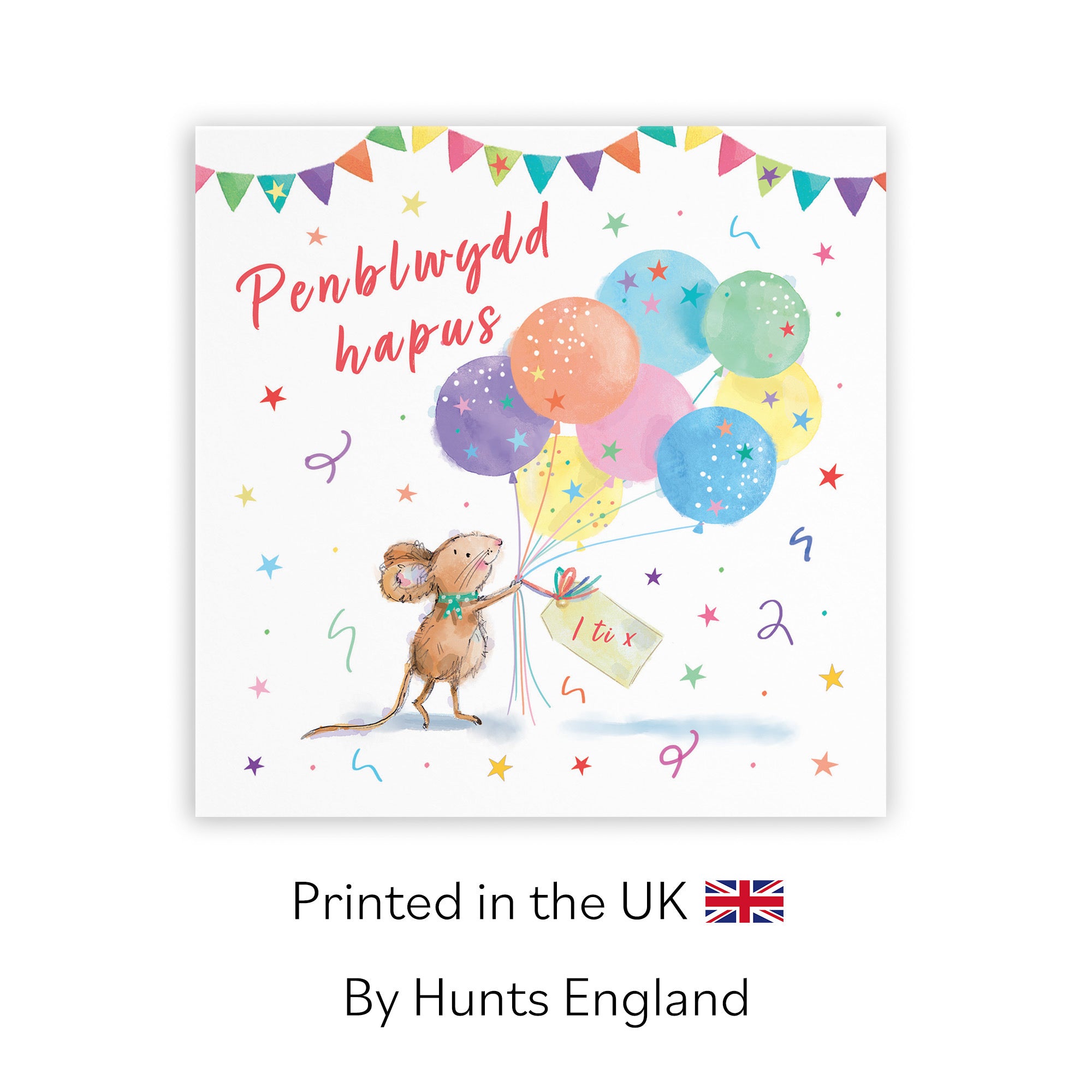 Welsh Language Birthday Card Colourful Balloons Little Whiskers - Default Title (SN00553)